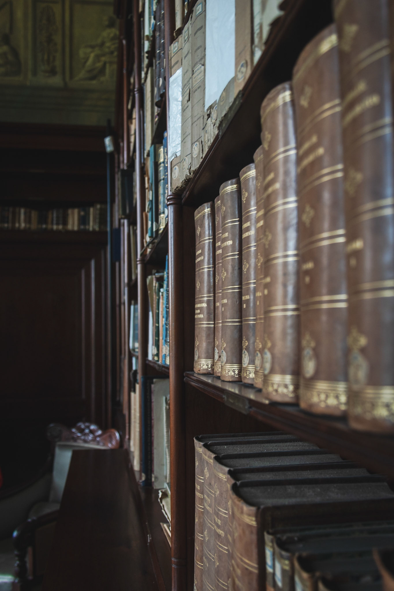 La biblioteca di Carlo Alberto.
