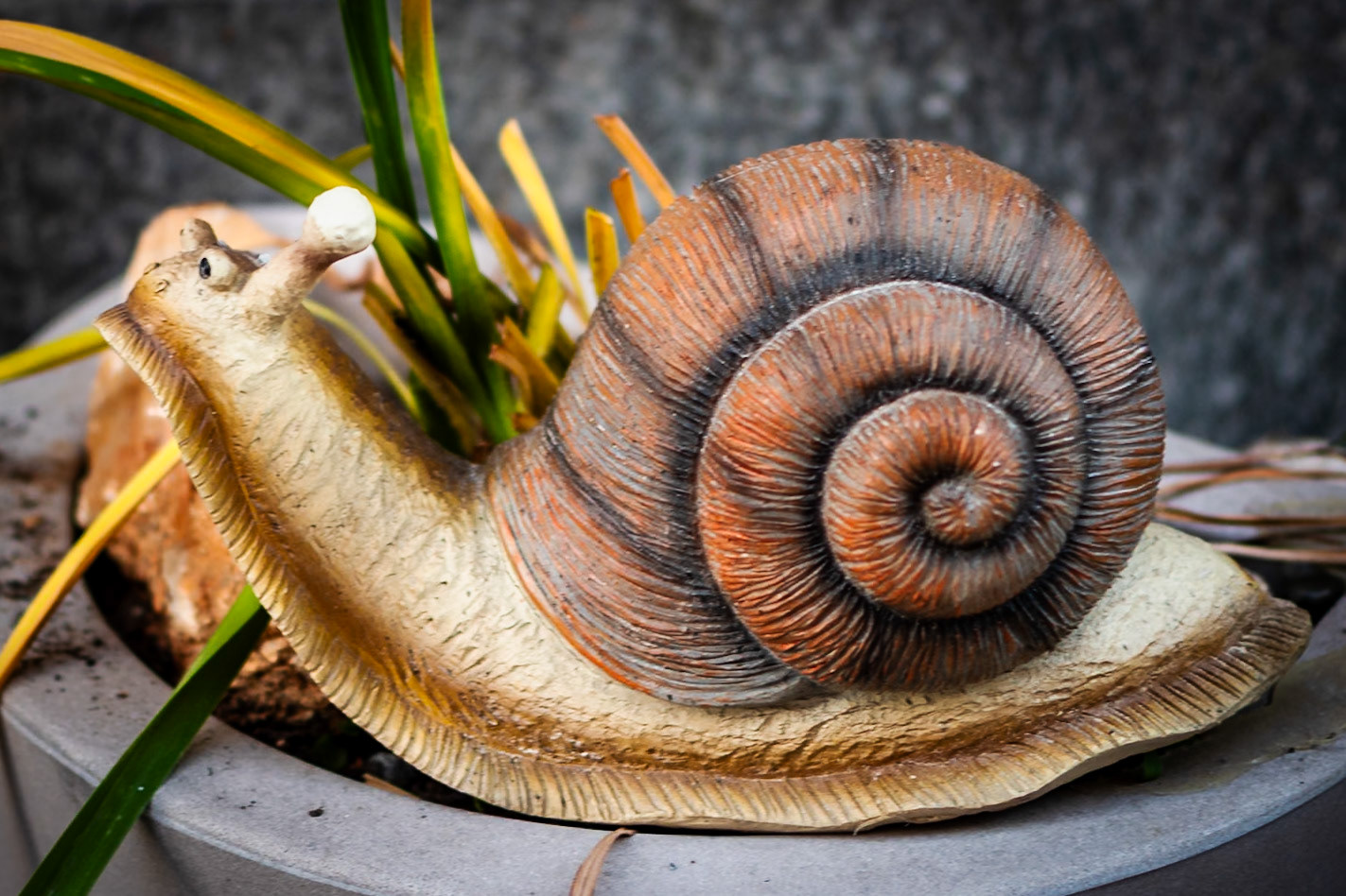 BORGO S. DALMAZZO - FIERA FREDDA