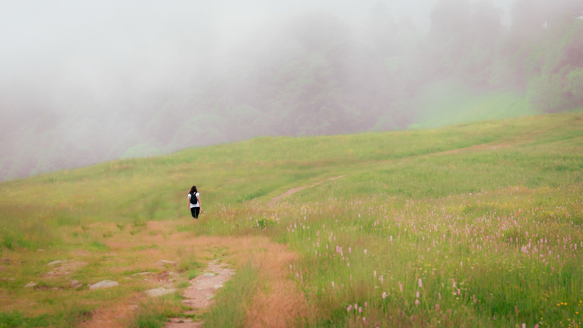 Salita al Monte Pigna