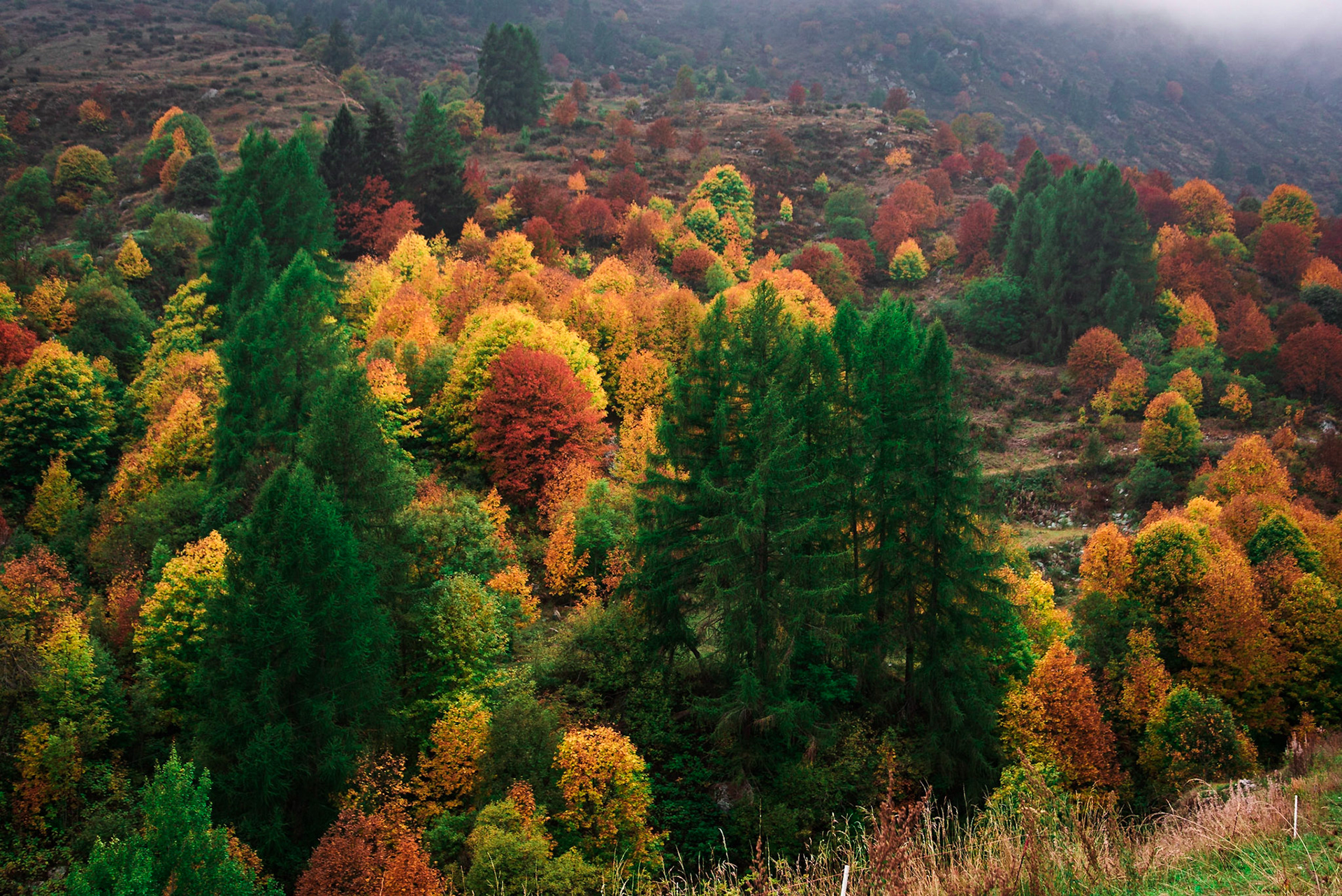 Inizio di Autunno in Valle Grana