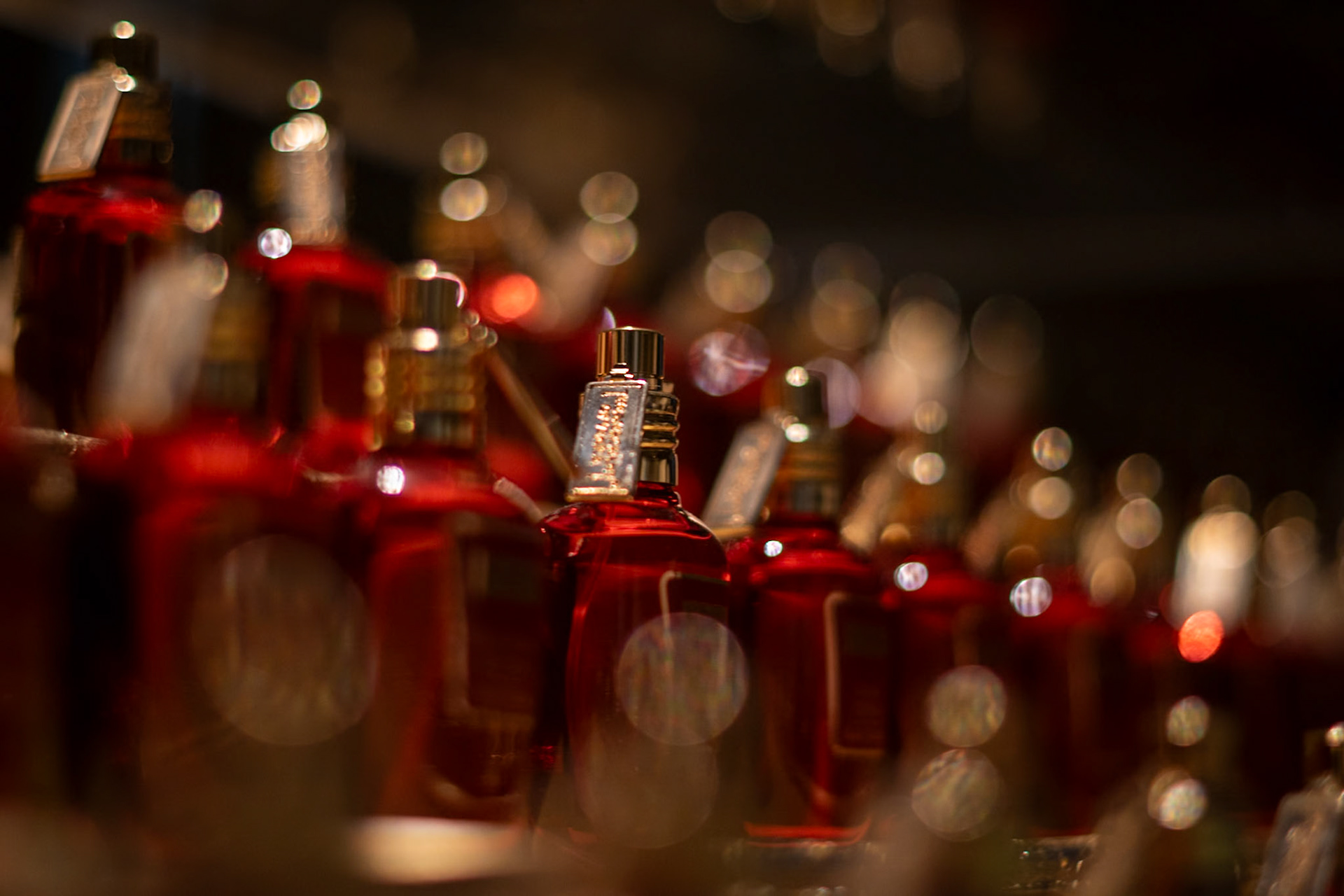 Il Muses, accademia europea delle essenze.