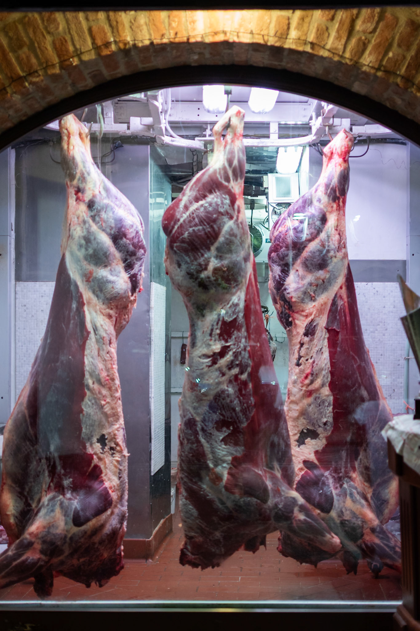 PIEDMONTESE OX
