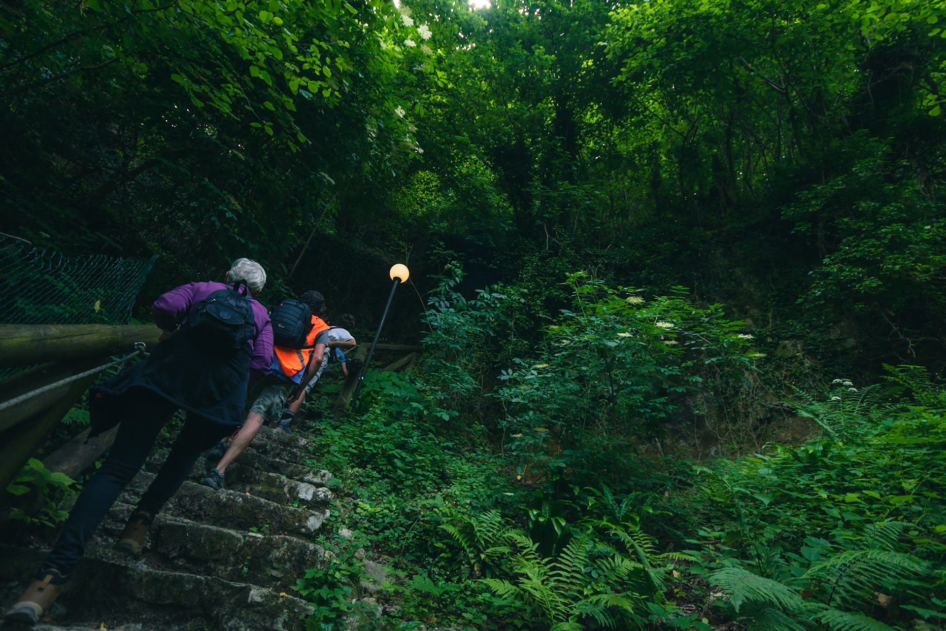 Nei boschi di Frabosa Soprana