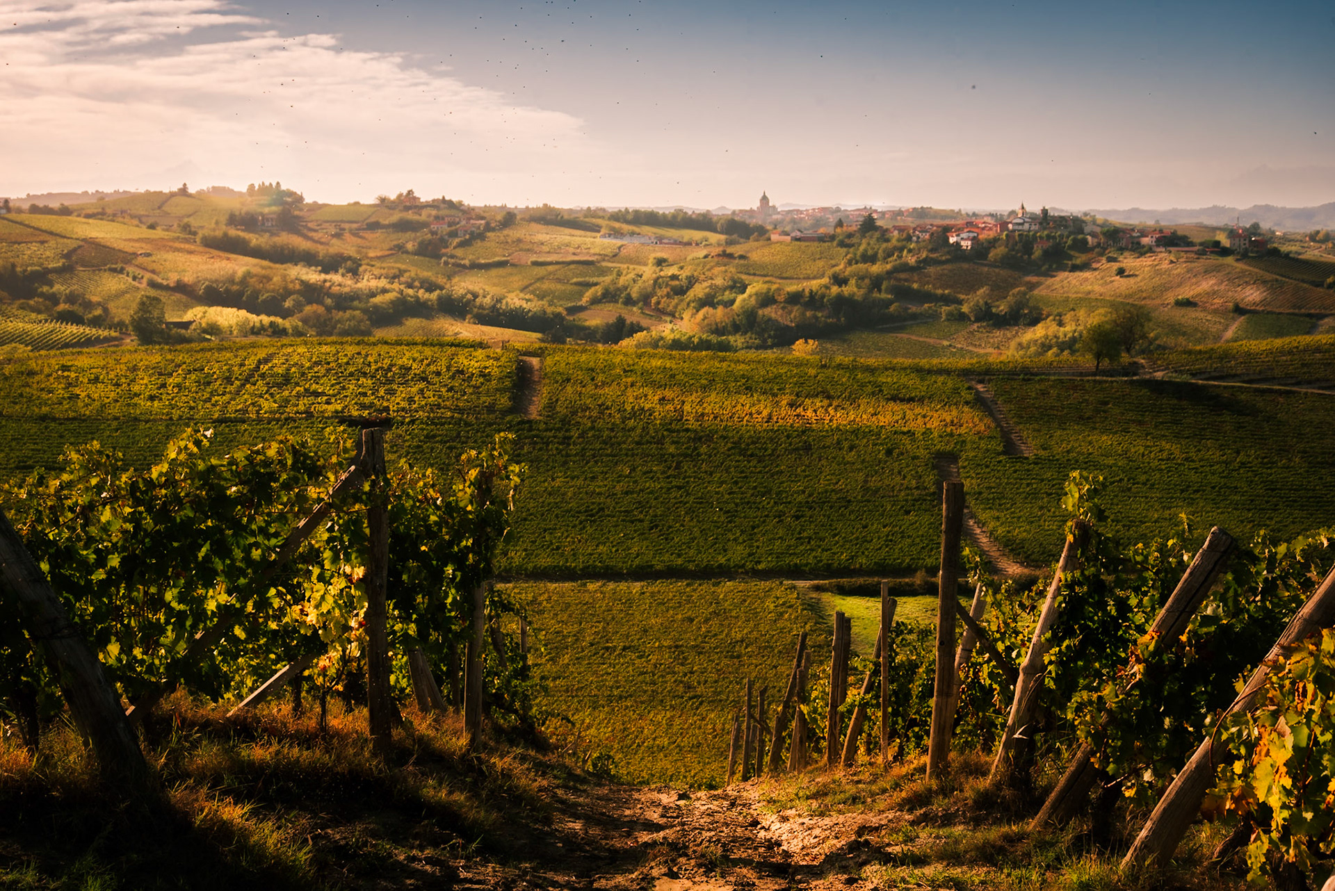 Il terroir acquese.