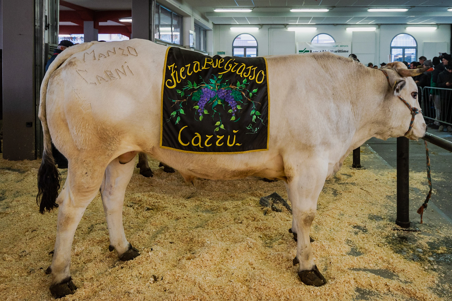 CARRU' FIERA DEL BUE GRASSO 2019 - THE CHAMPION
