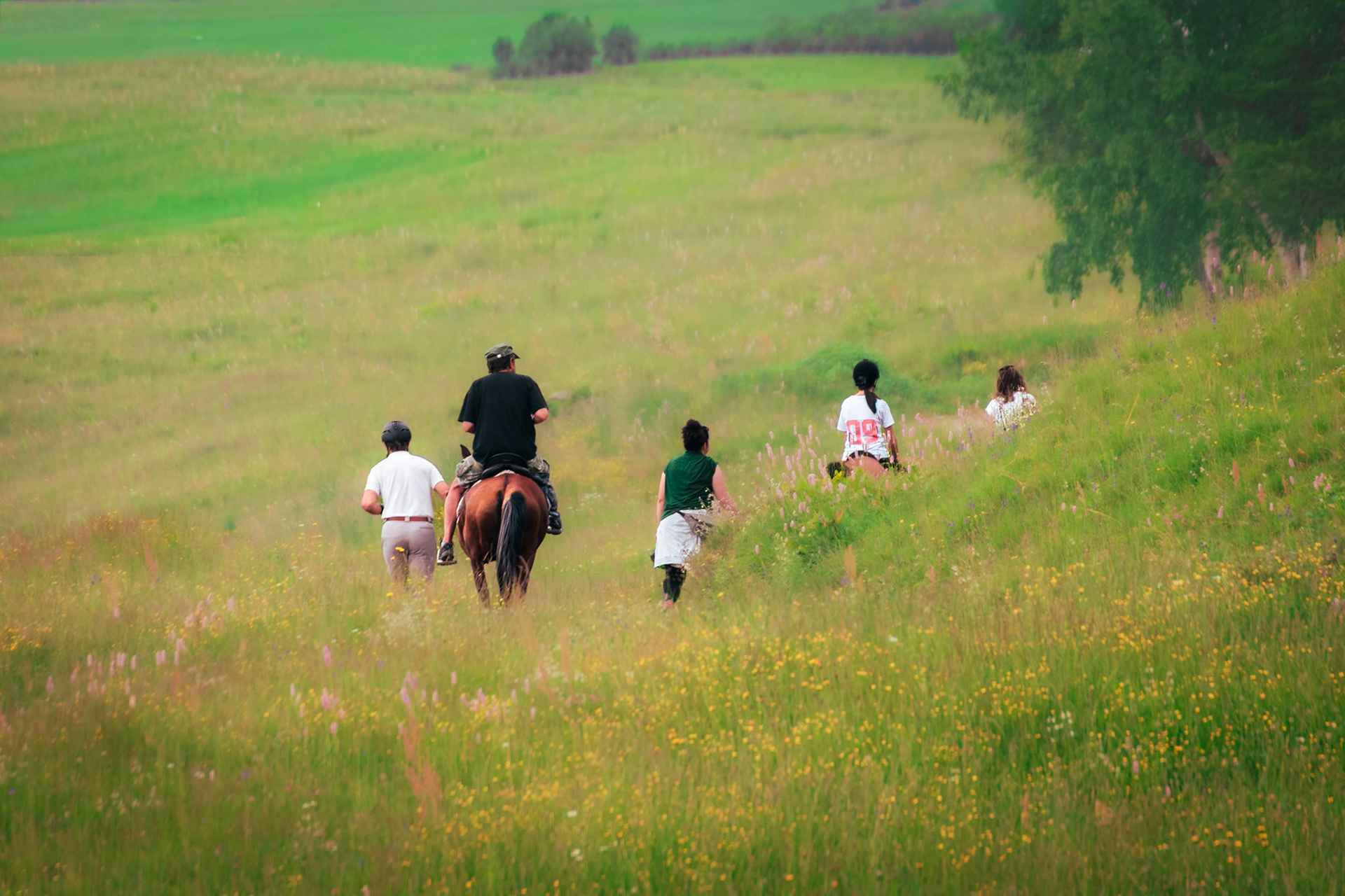 Salita al Monte Pigna