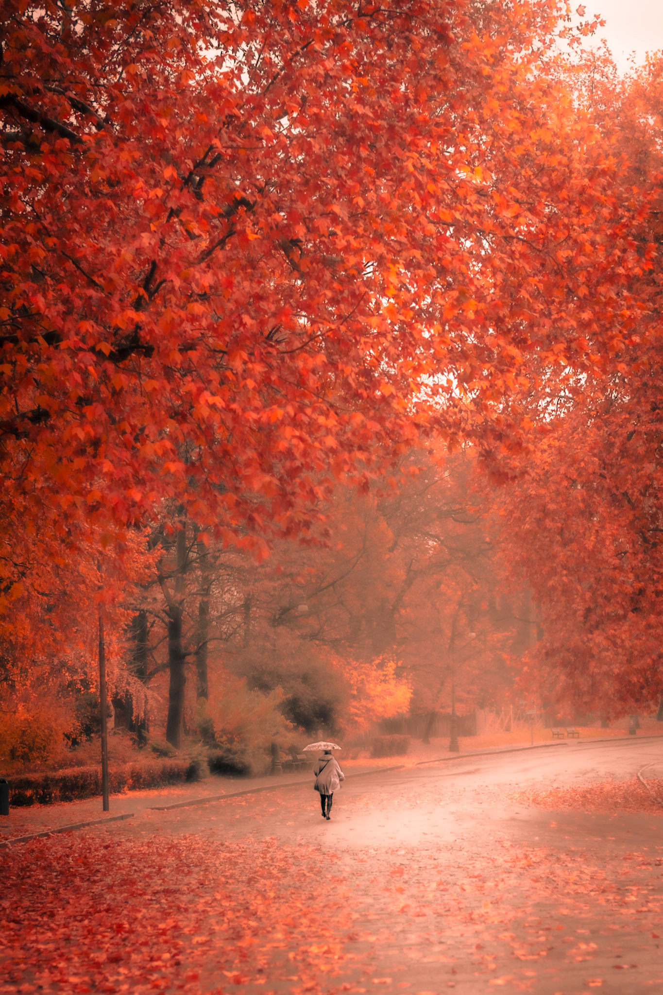 Autumn Grand Finale
