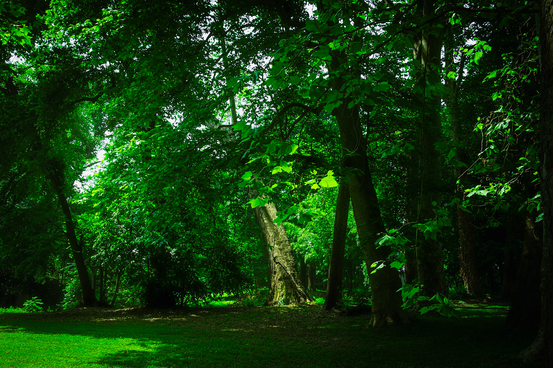La tenuta Berroni, Villa con parco del 1700.
