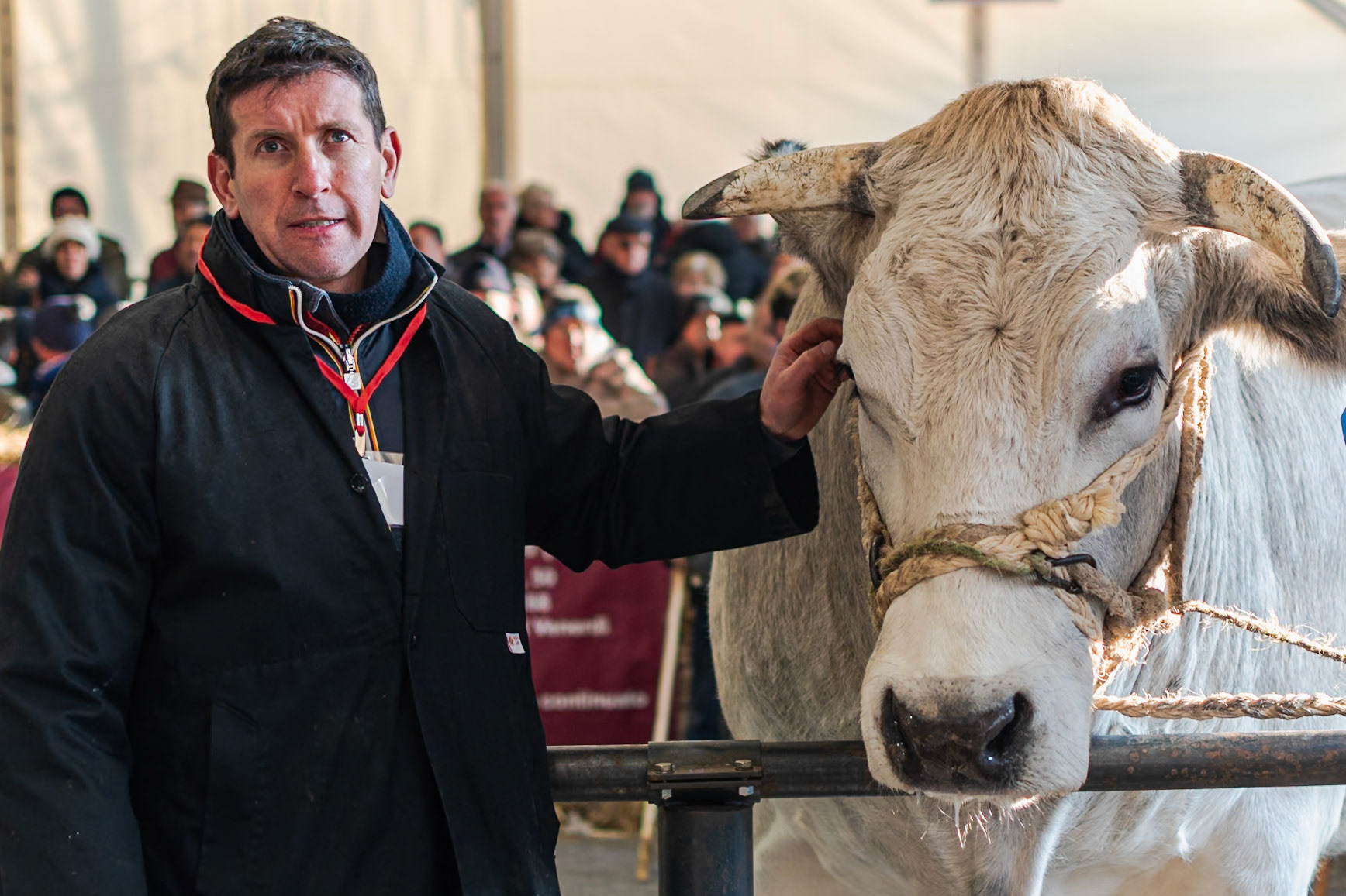 CARRU' FIERA DEL BUE GRASSO 2019 - THE CHAMPION