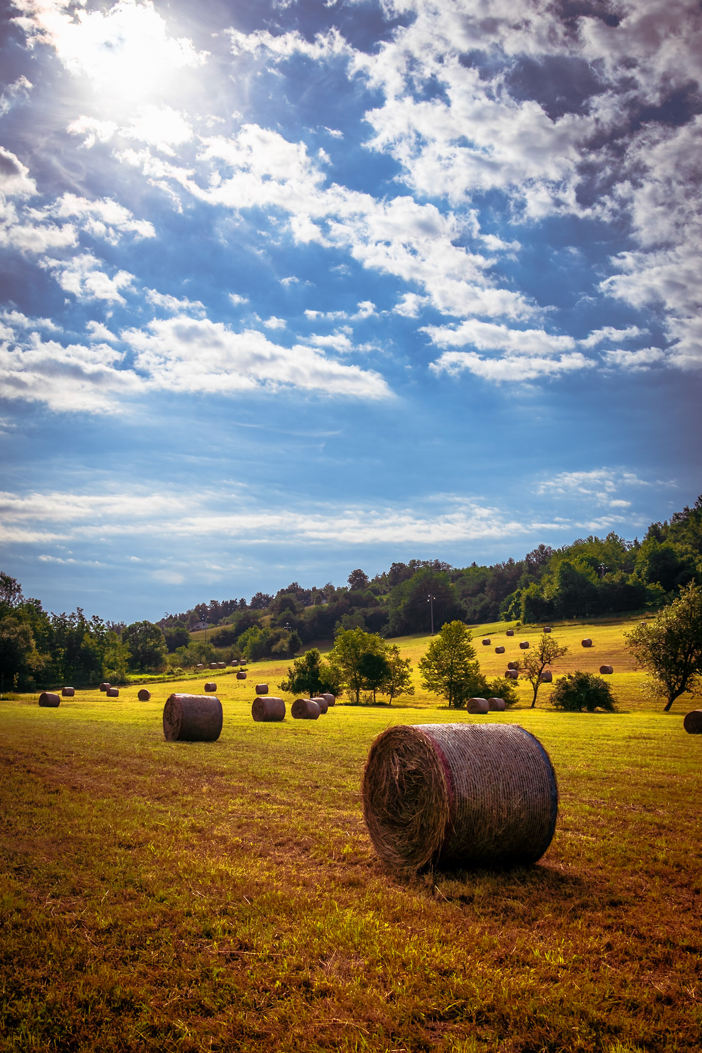 Sguardi d'estate a Mombasiglio