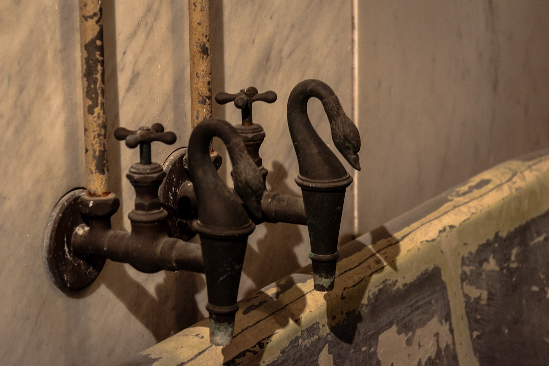 Le terme private di Carlo Alberto