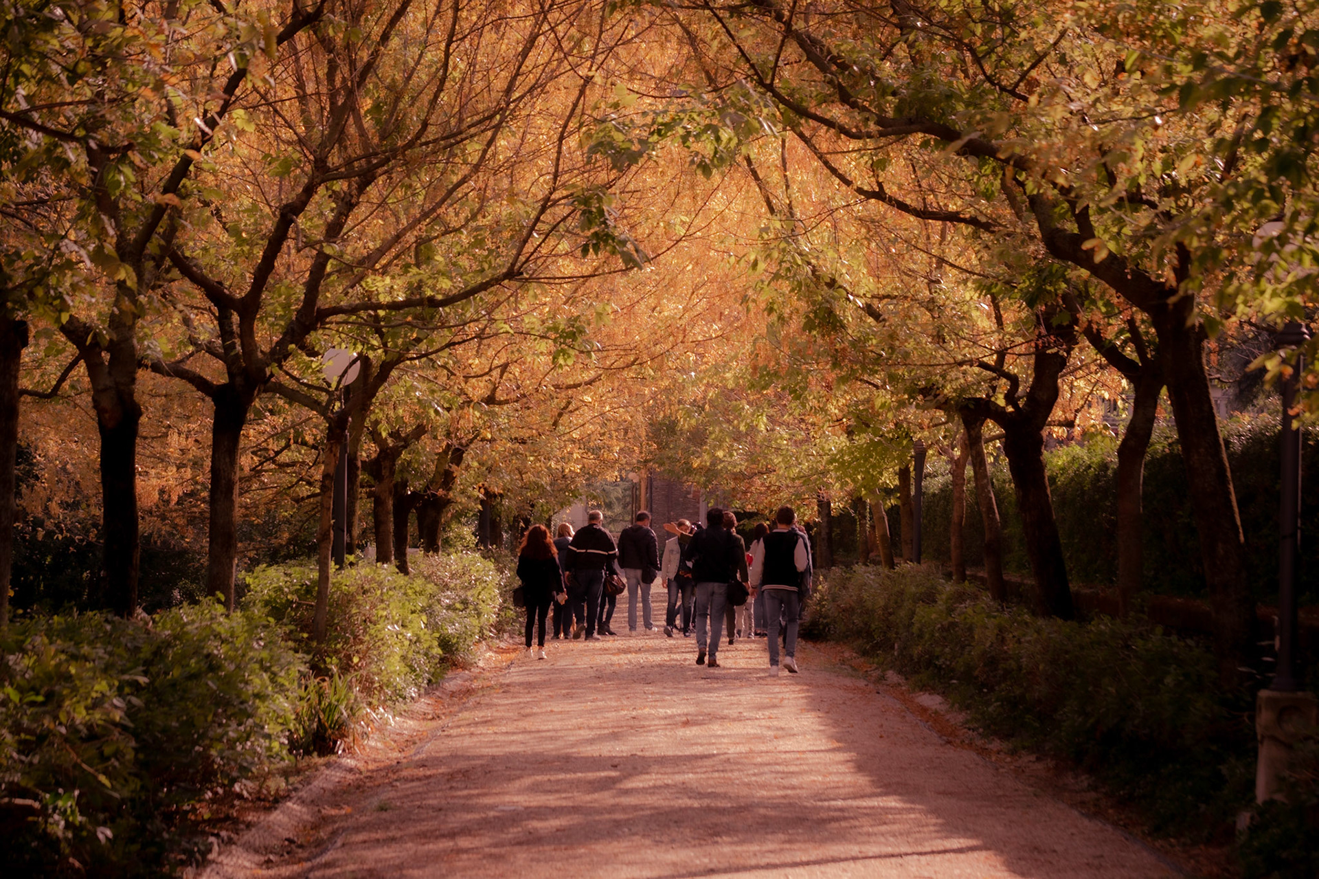 THE PARK IN AUTUMN