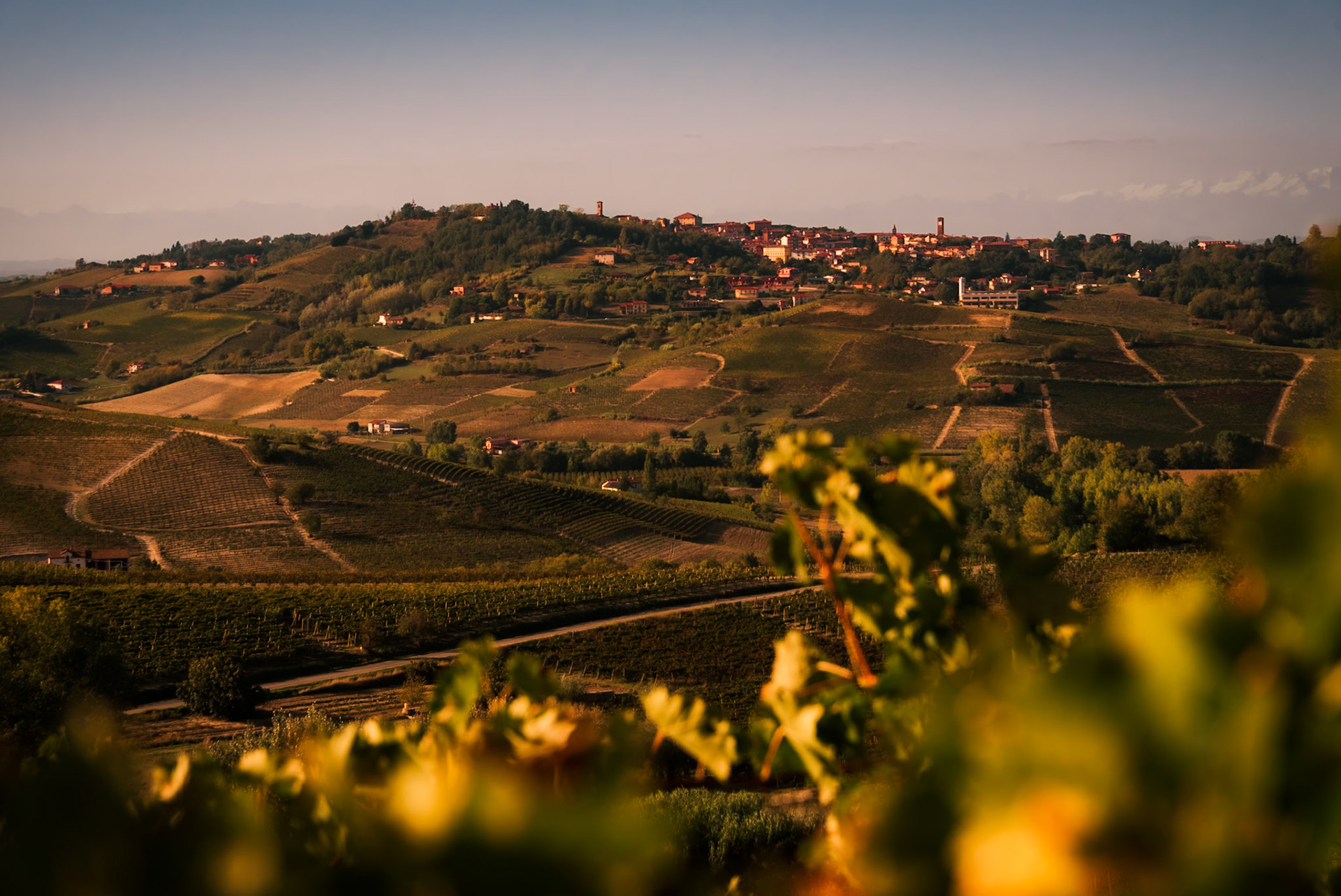 Il terroir acquese.