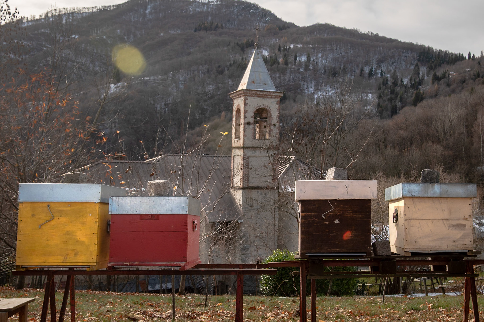 Apicoltura in quota.