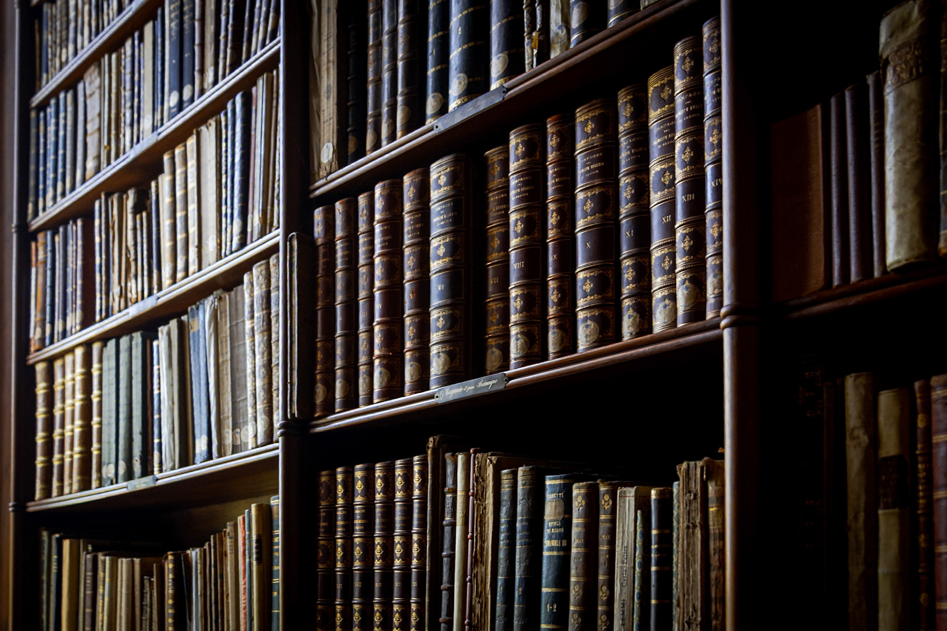 La biblioteca di Carlo Alberto.