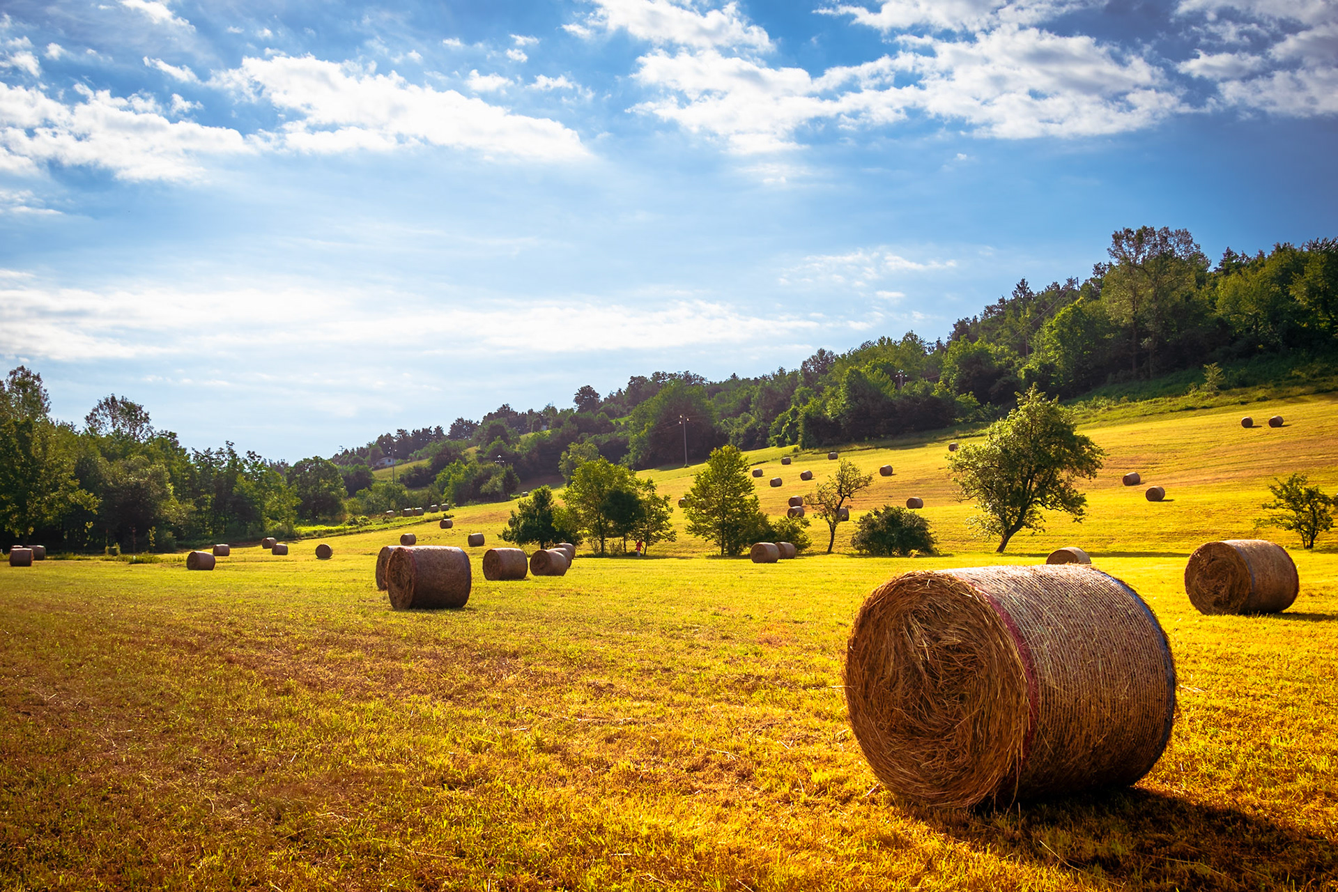 Sguardi d'estate a Mombasiglio.