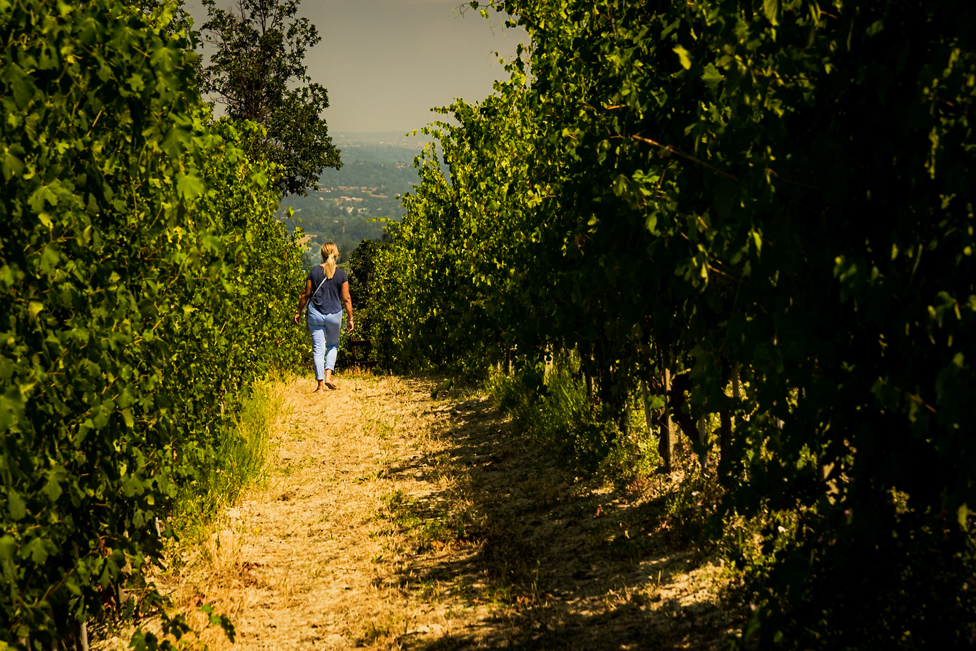 Il territorio dei Calanchi di Clavesana.