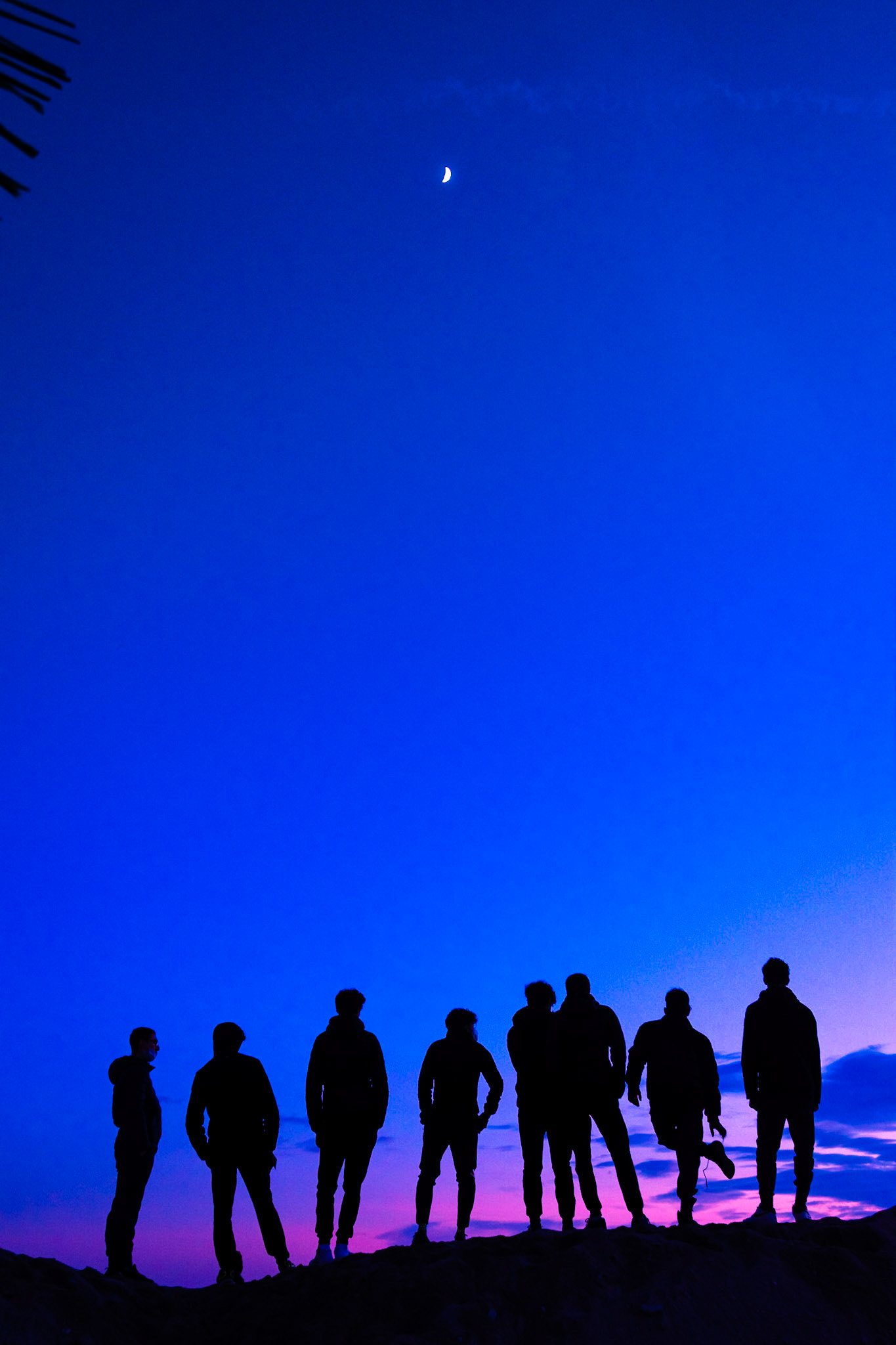 Apocalypse Generation