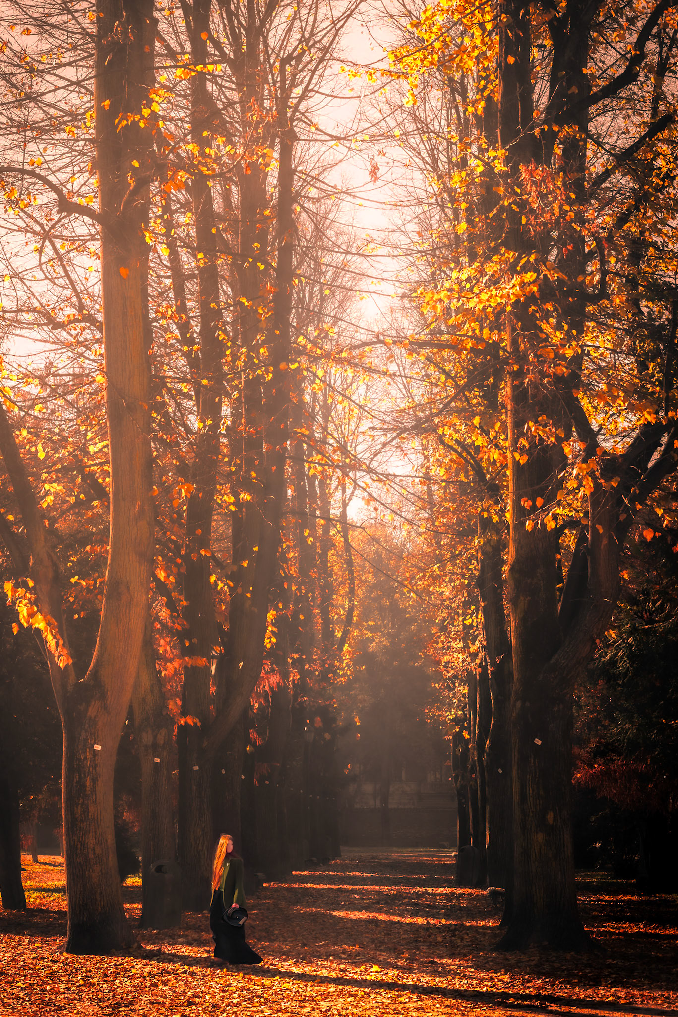 Tesoriera - Automne