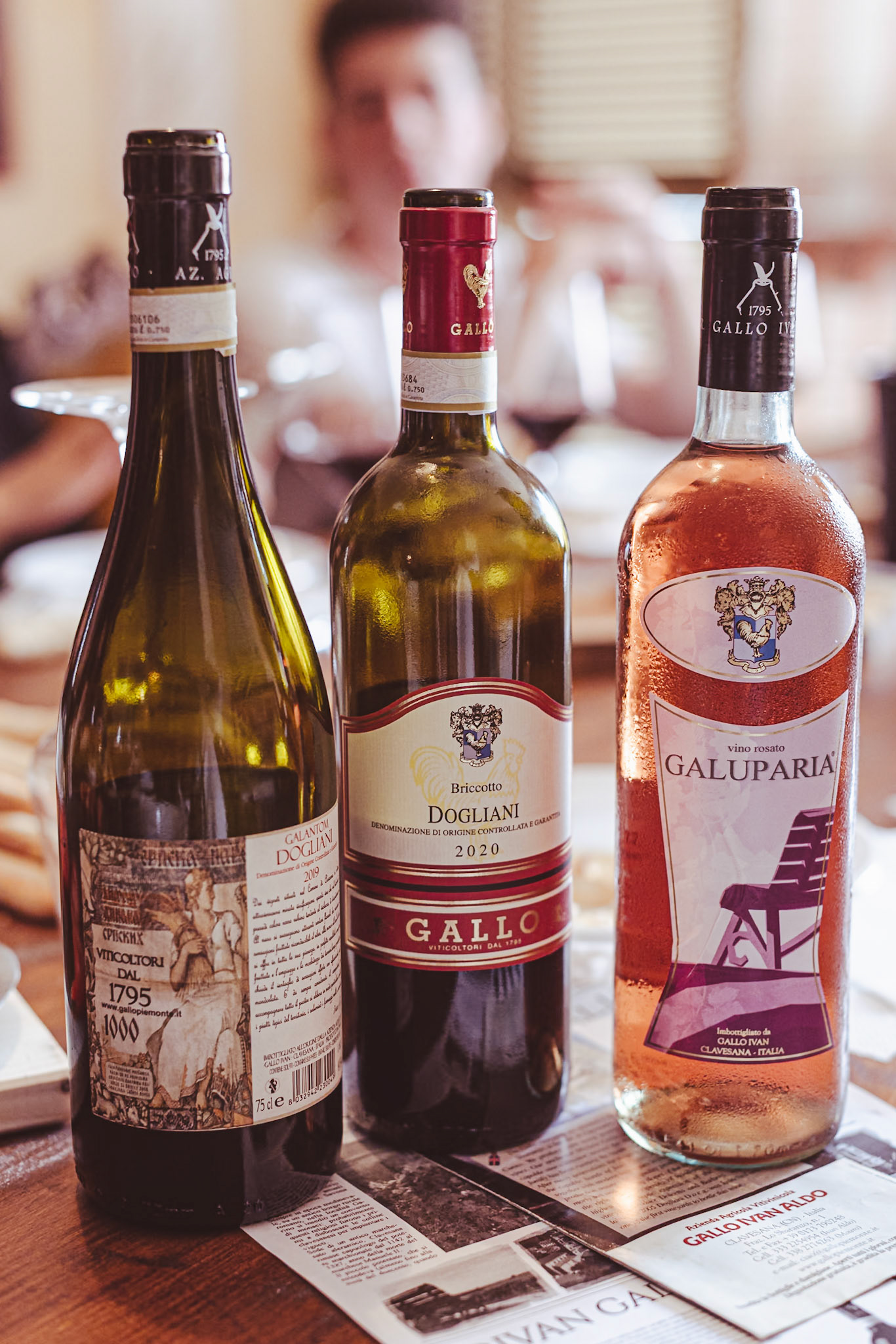 A pranzo presso le cantine Gallo.