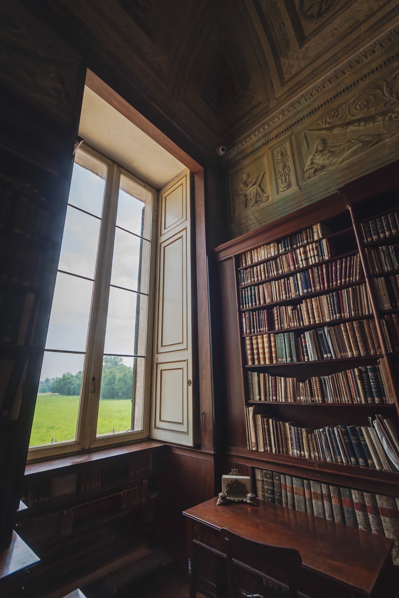 La biblioteca di Carlo Alberto.