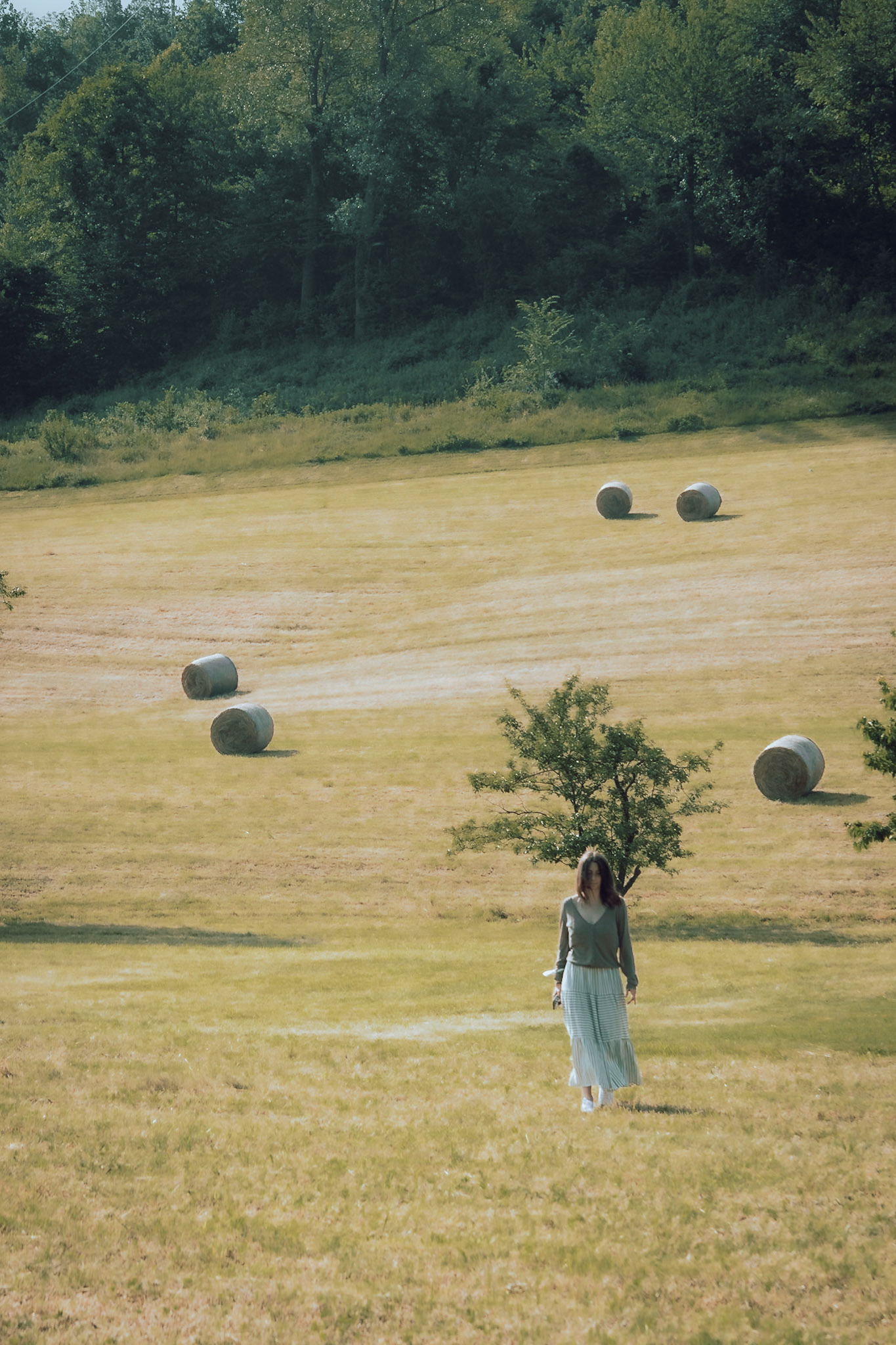Sguardi d'estate a Mombasiglio.