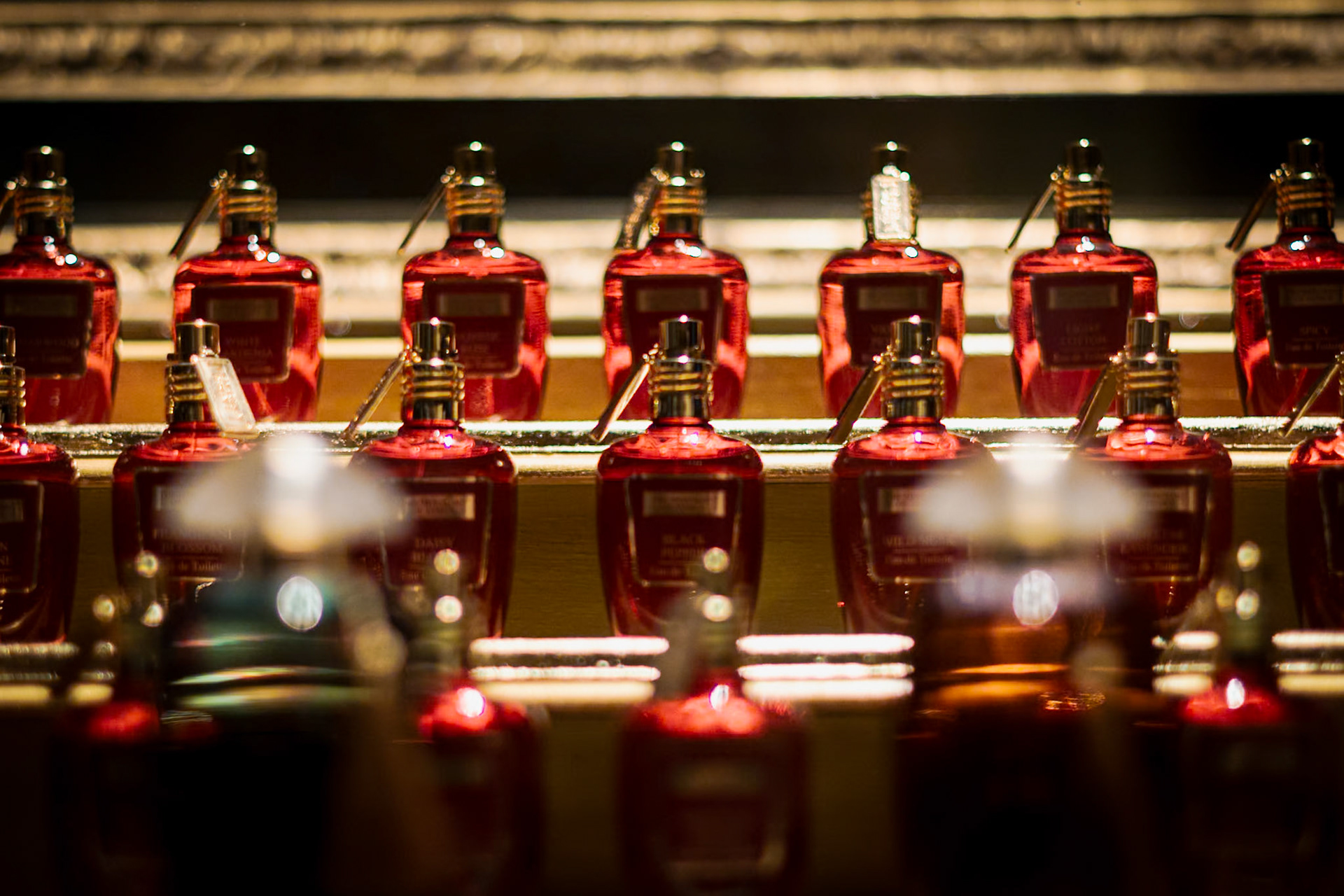 Il Muses, accademia europea delle essenze.