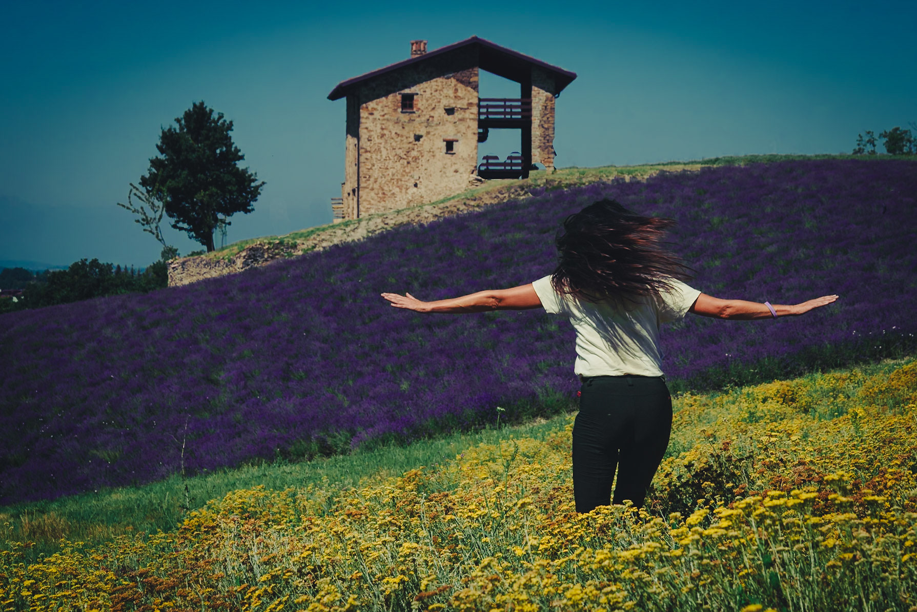 Sale San Giovanni e la sua Lavanda.