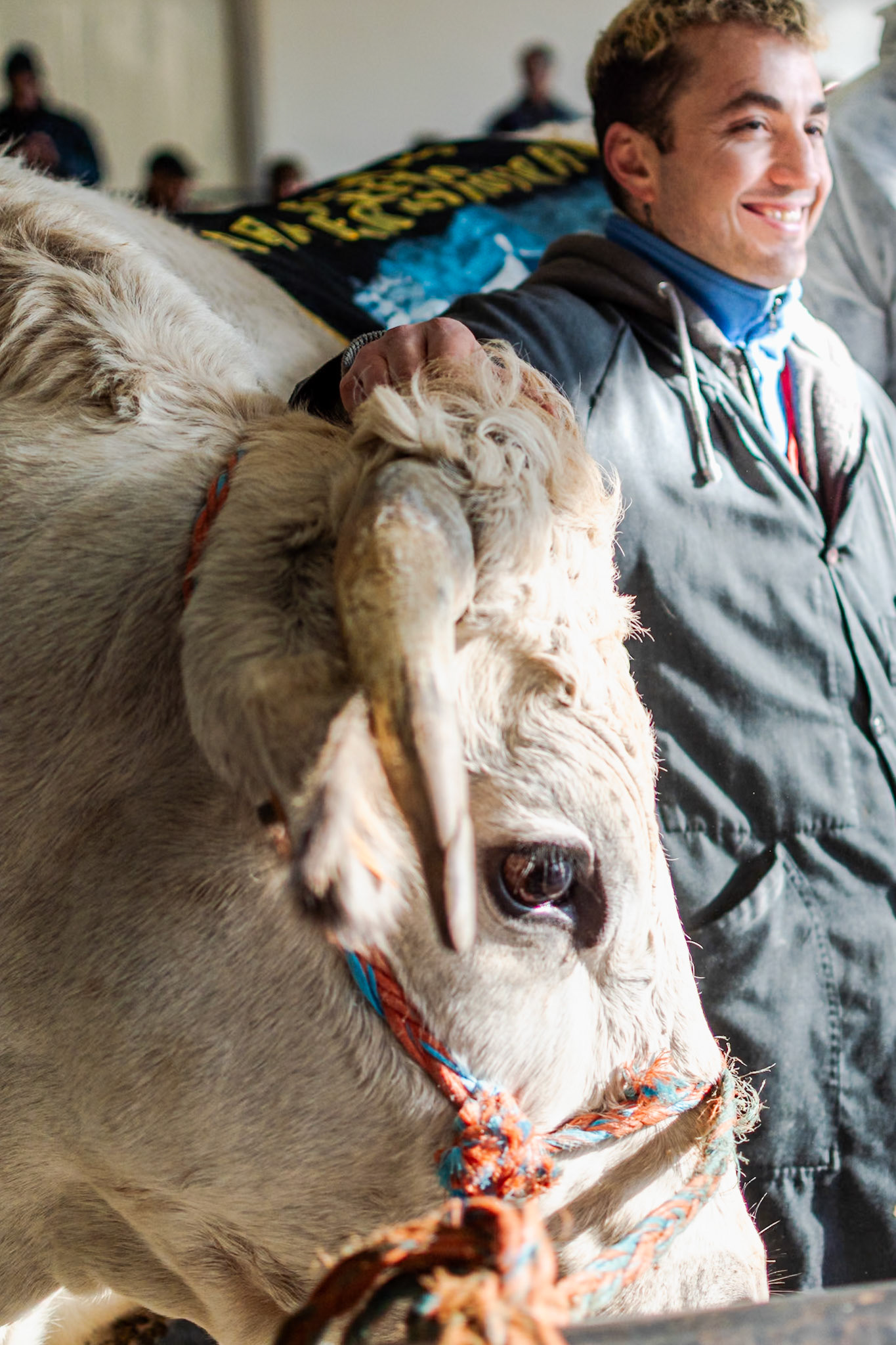 CARRU' FIERA DEL BUE GRASSO 2019 