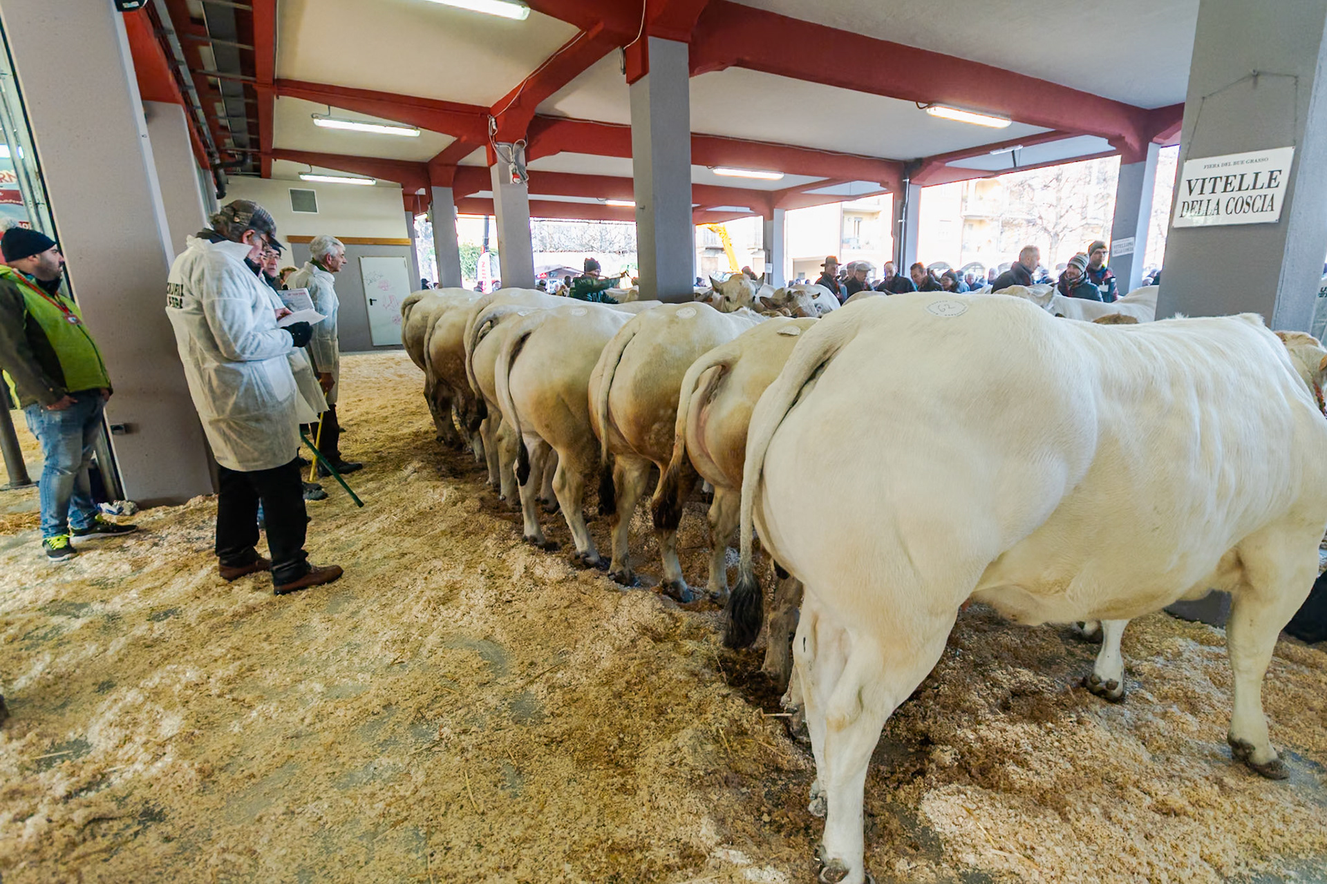 CARRU' FIERA DEL BUE GRASSO 2019 