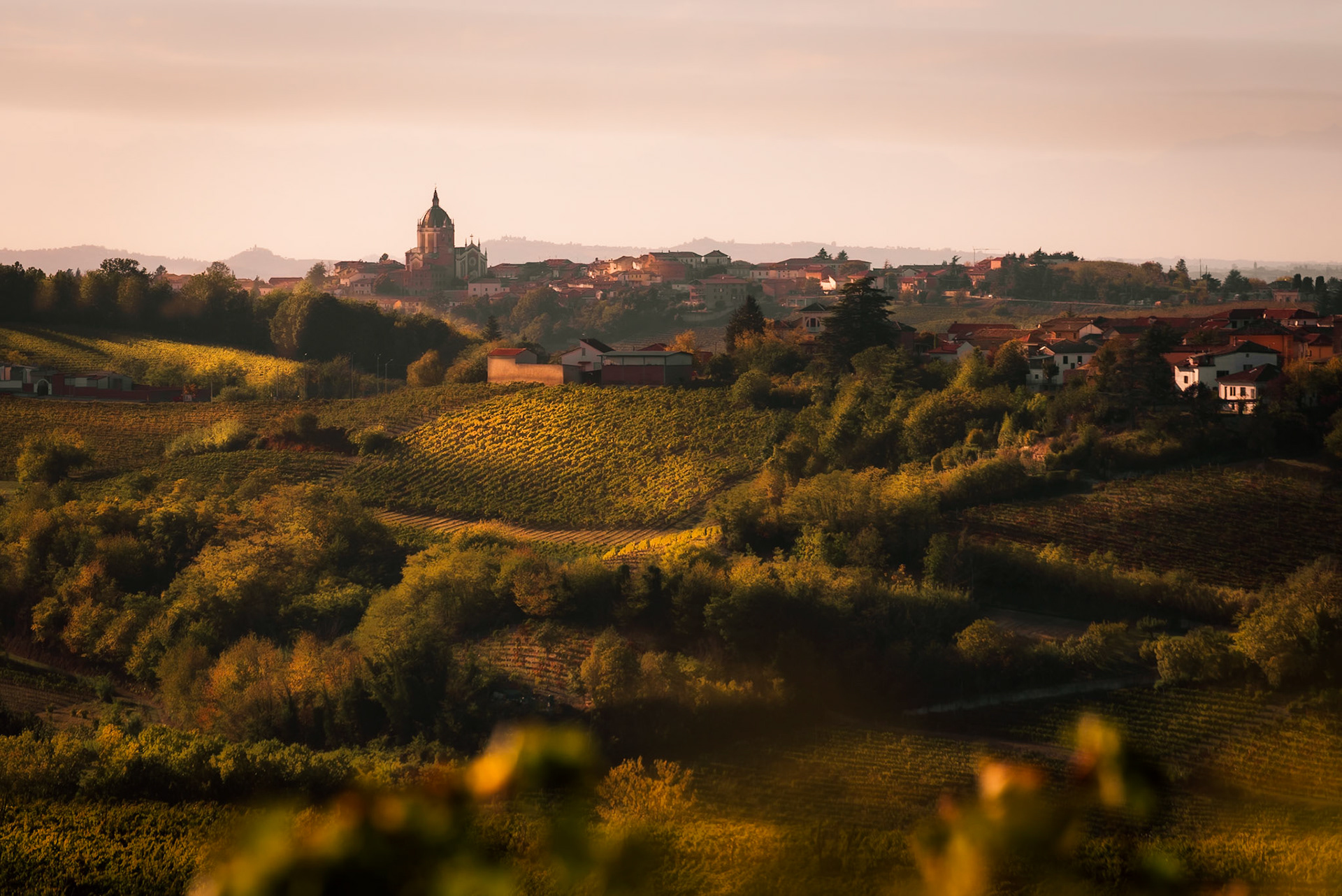 Il terroir acquese.