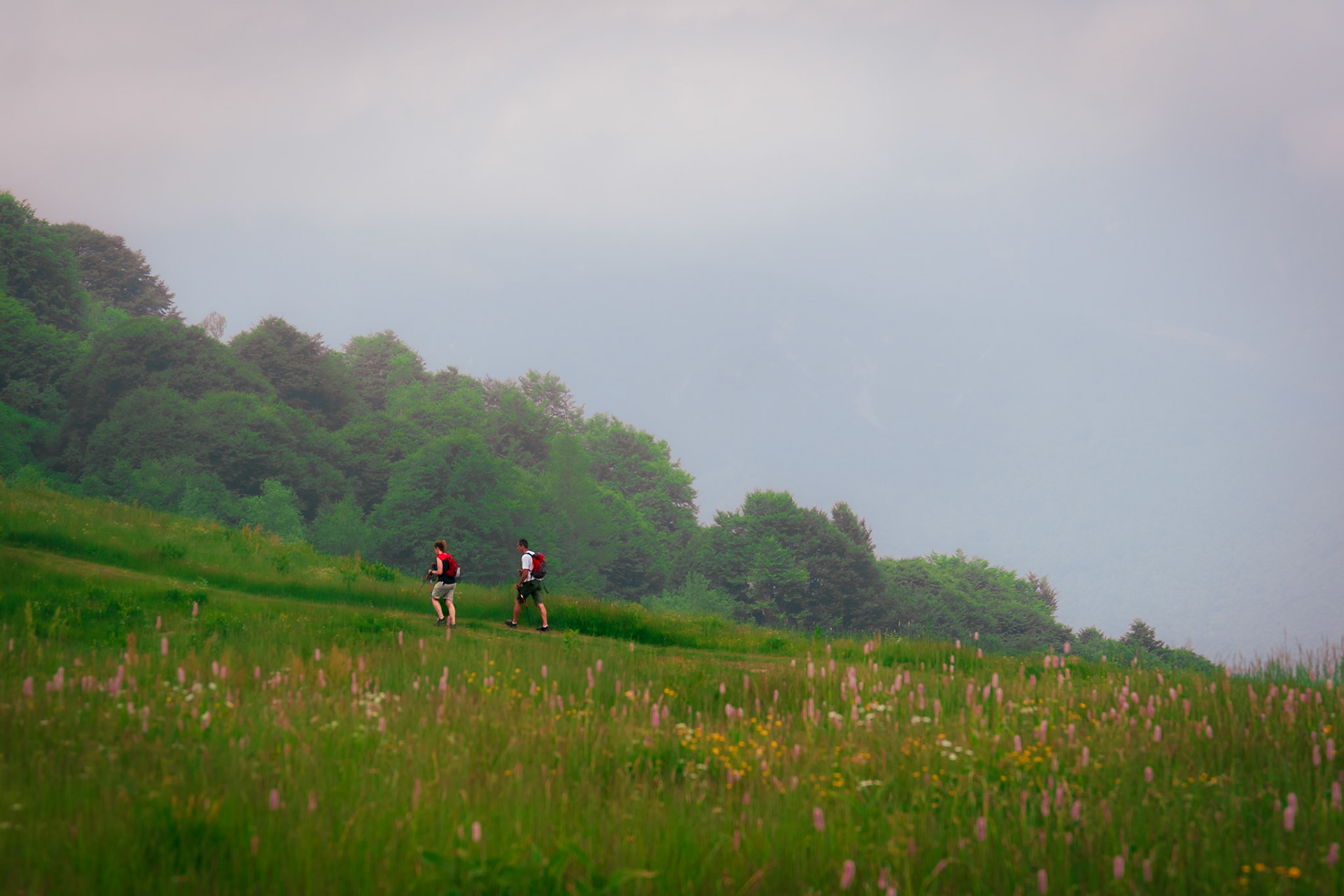 Salita al Monte Pigna