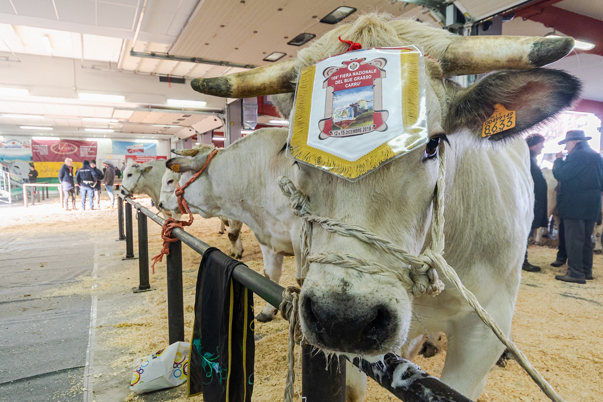 CARRU' FIERA DEL BUE GRASSO 2019 