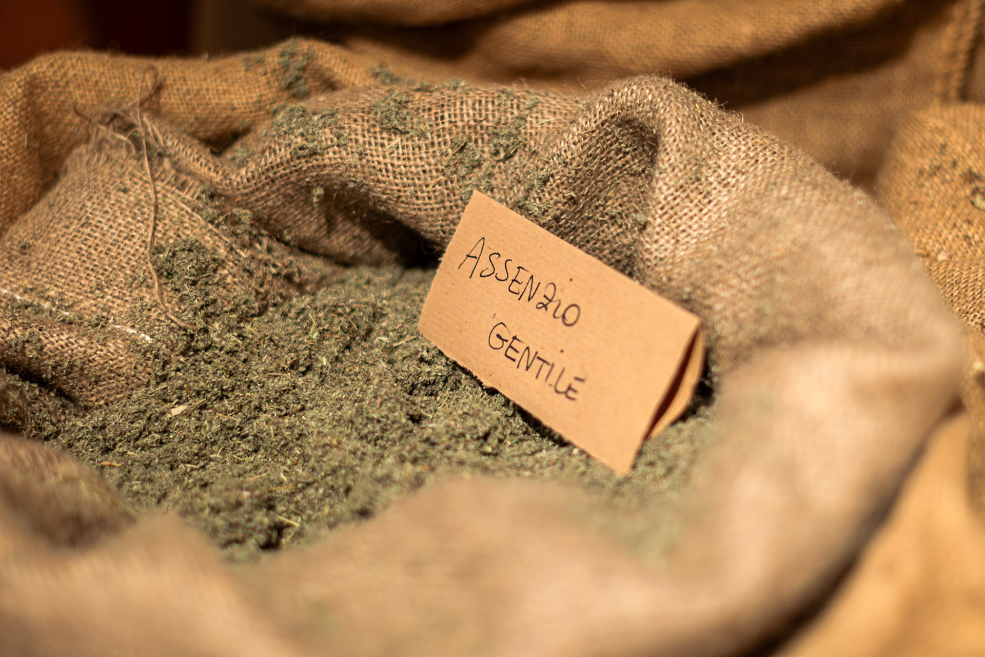 Casa Martini - The herbs