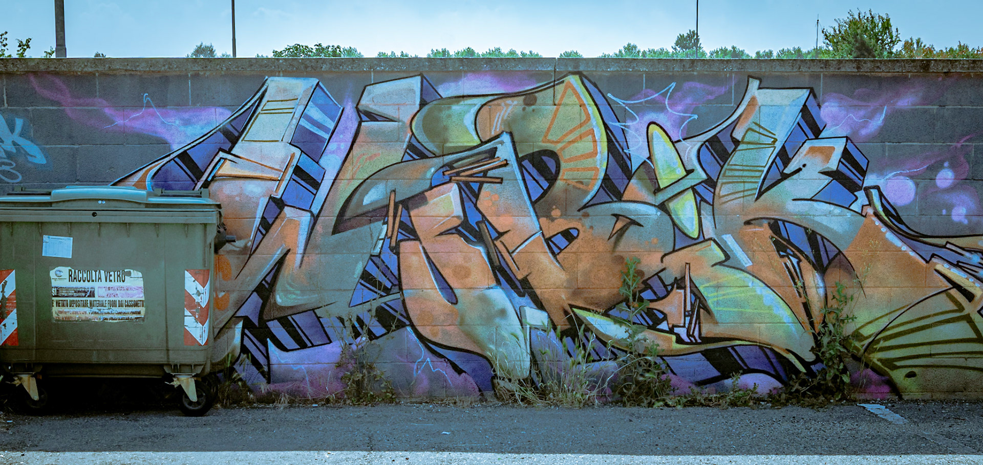 Murales di Cavallermaggiore