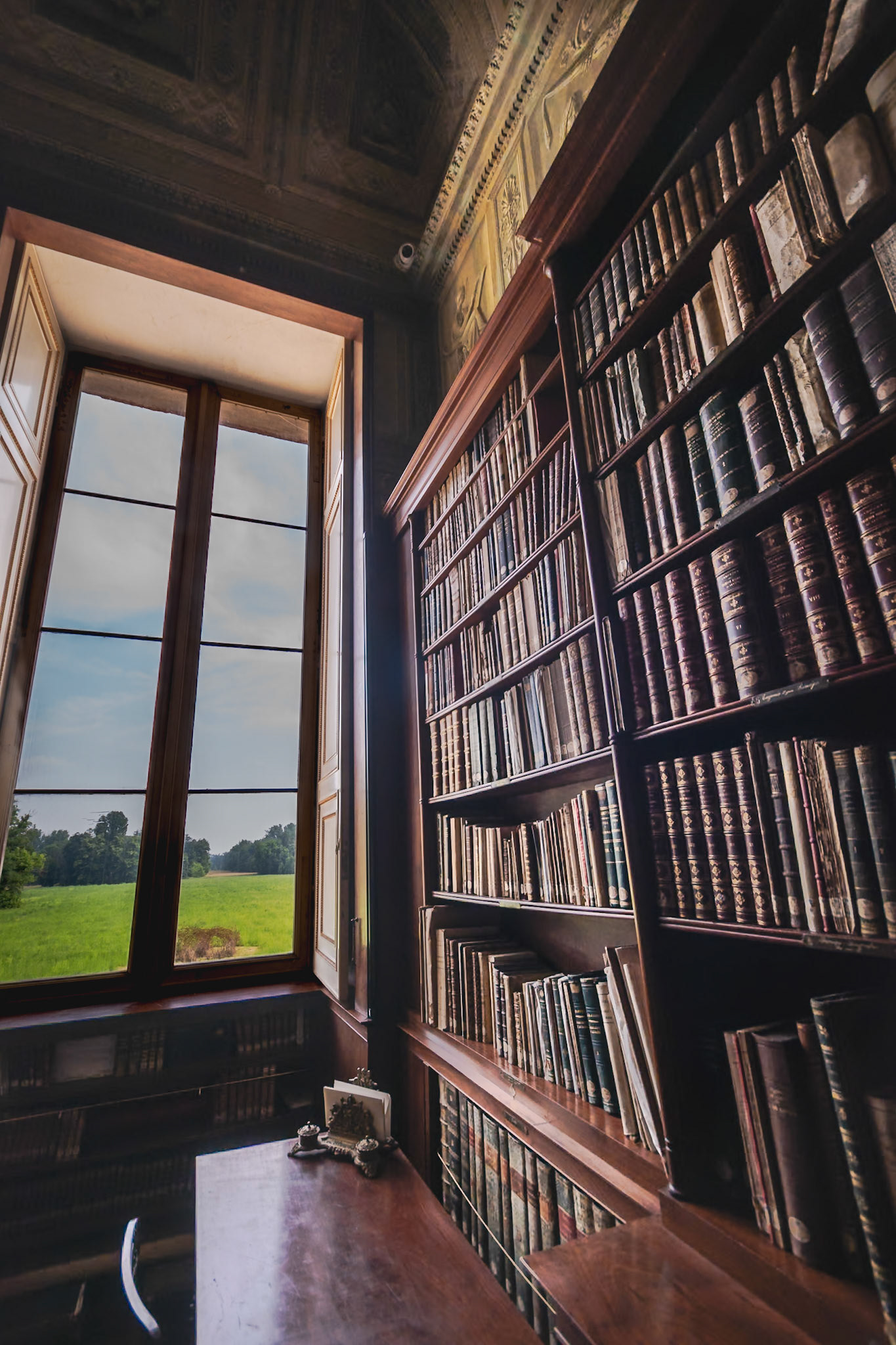 La biblioteca di Carlo Alberto.