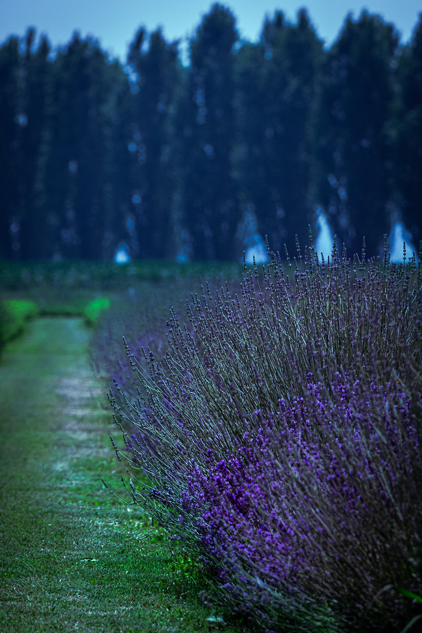 La tenuta Berroni, Villa con parco del 1700.