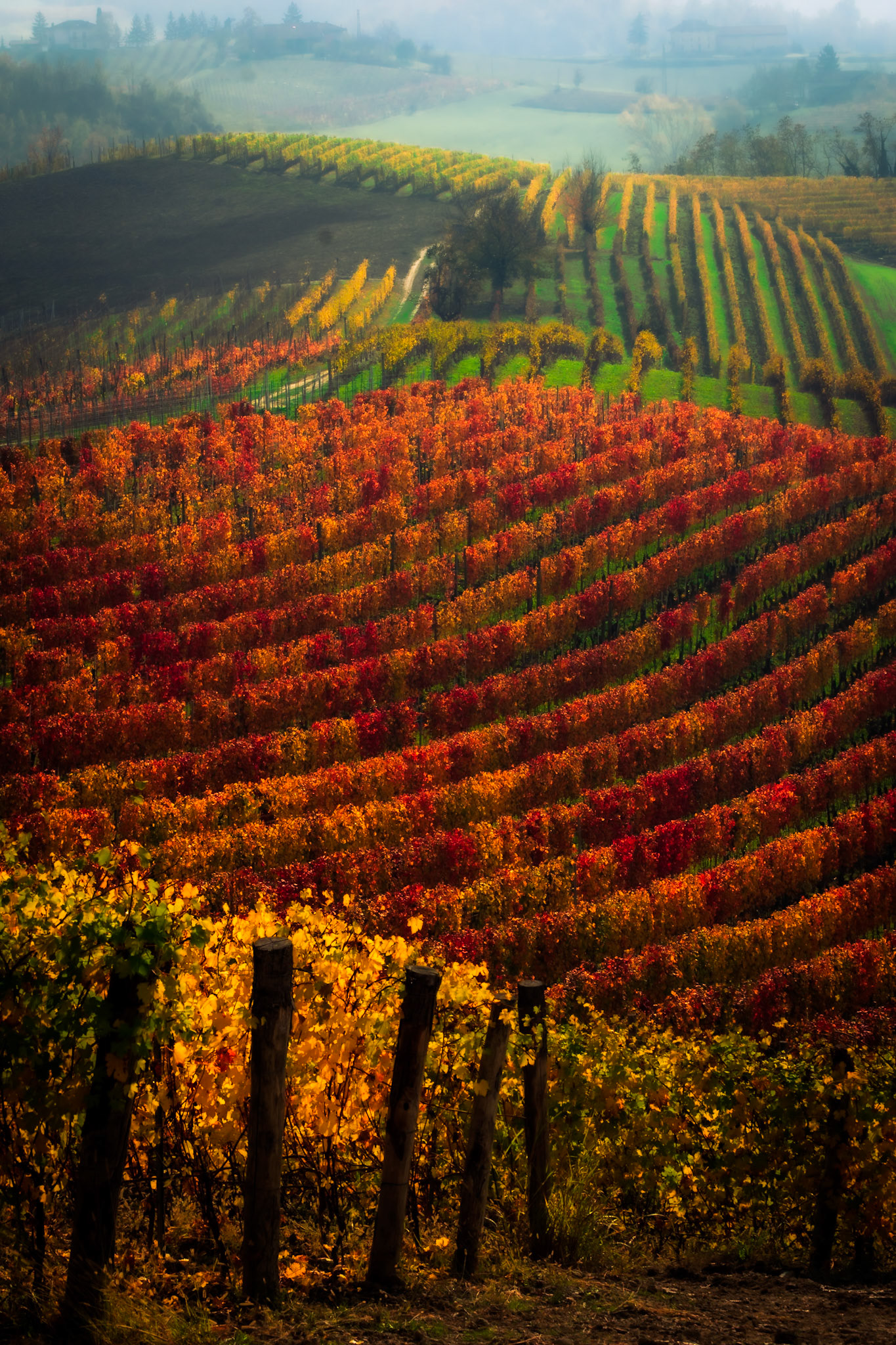 Langhe Patchwork