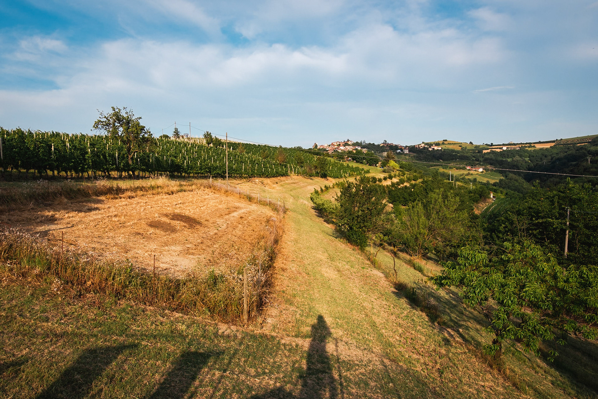 L'Agriturismo delle tenute Bevione che ci ha ospitato.