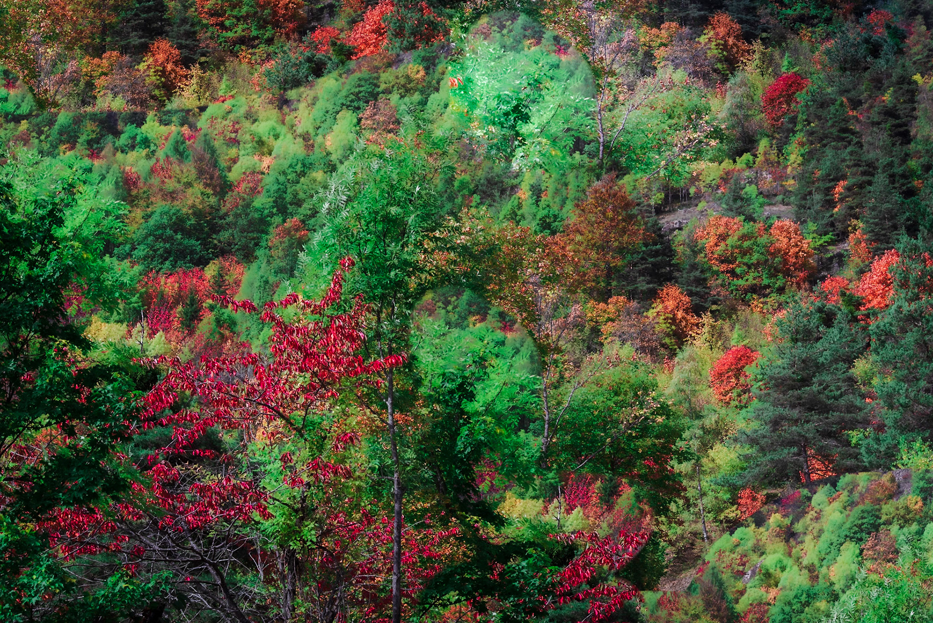 Autunno in Valle Maira