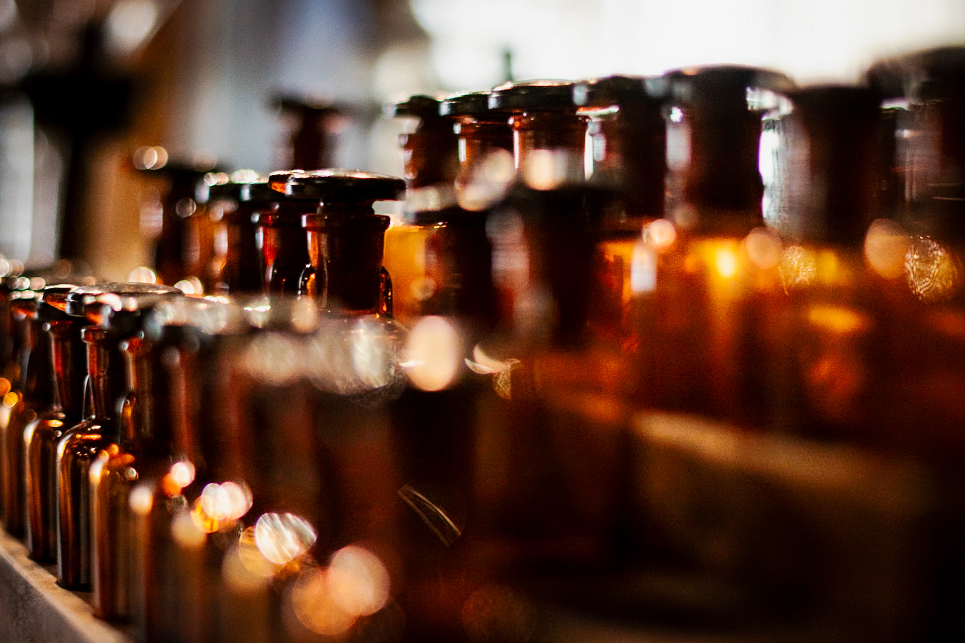 Il Muses, accademia europea delle essenze.