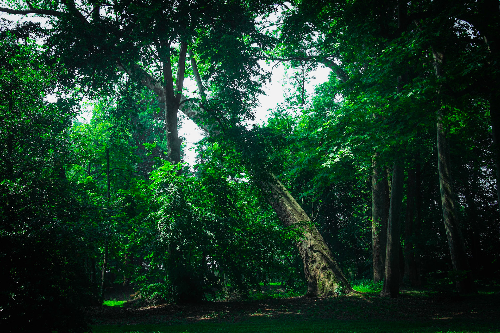 La tenuta Berroni, Villa con parco del 1700.