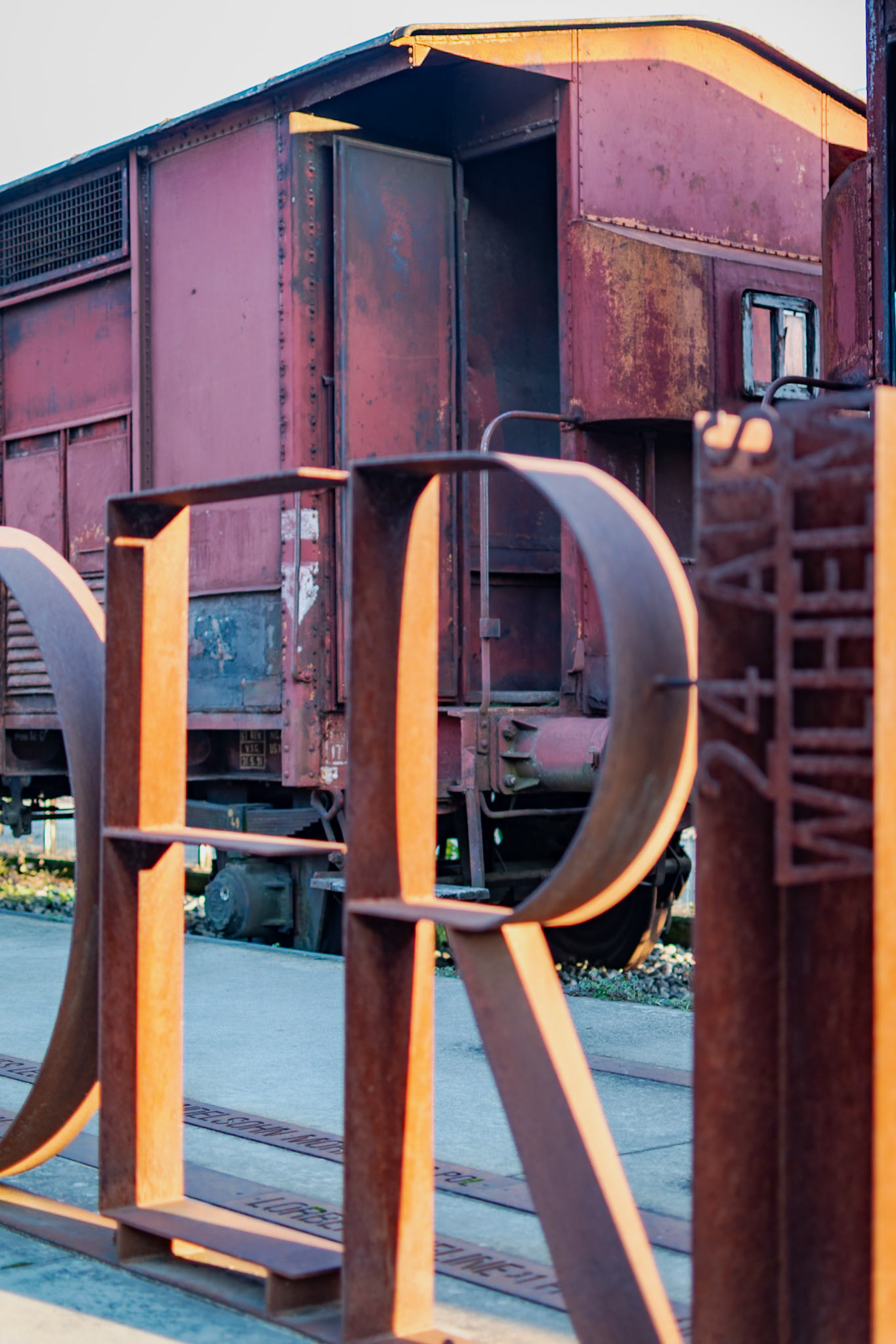 BORGO S. DALMAZZO - FIERA FREDDA