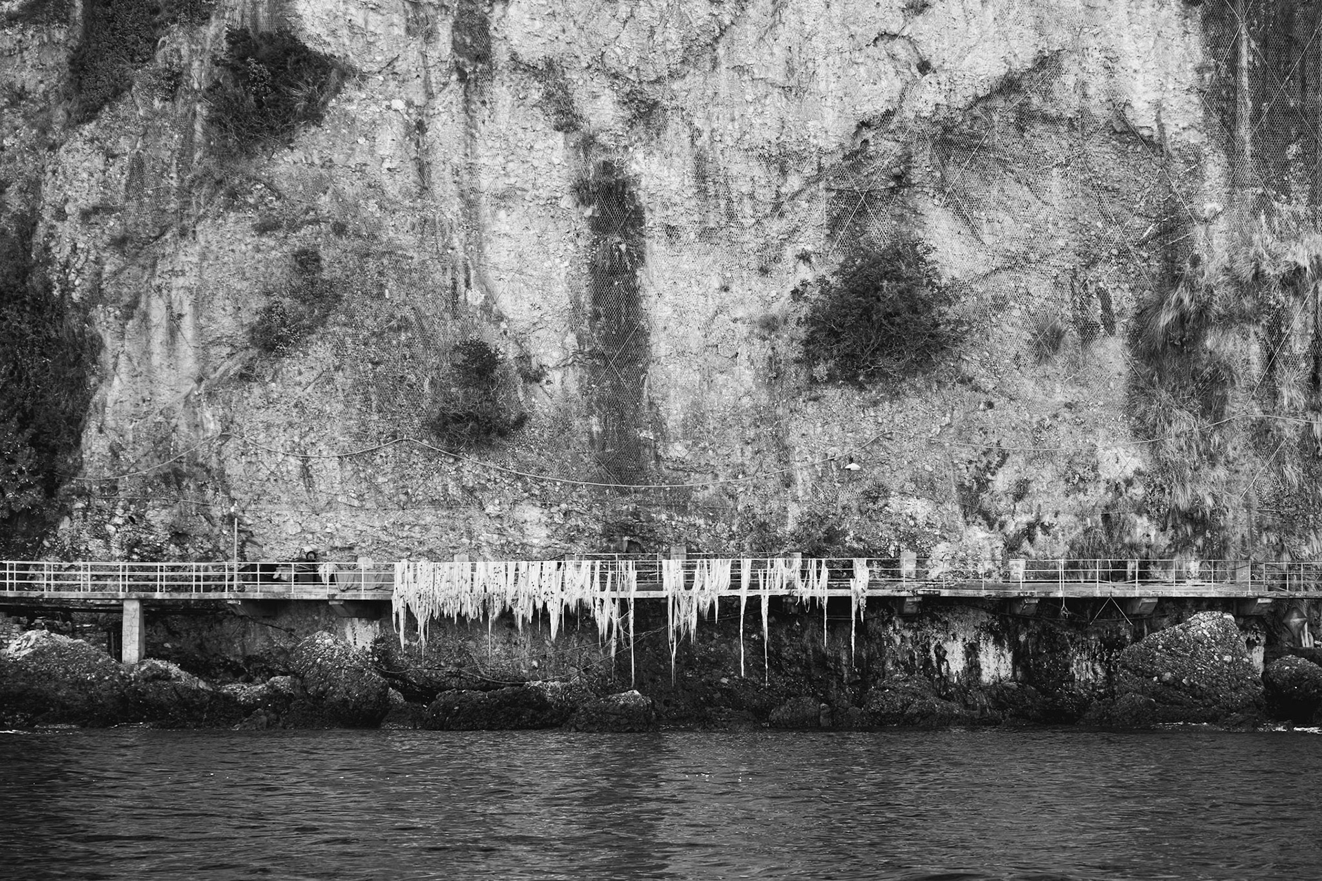 Genova, Camogli porto pidocchio 2021 - 44°19'31"N 9°08'56"E