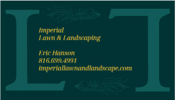 business cards back
