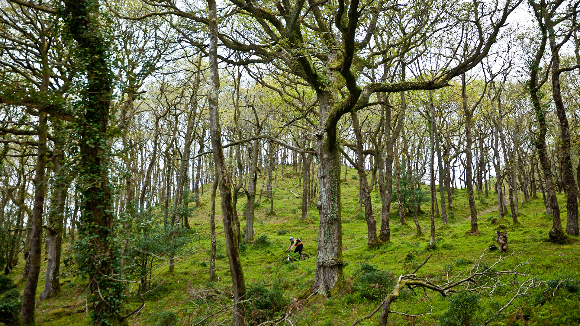 Porlock