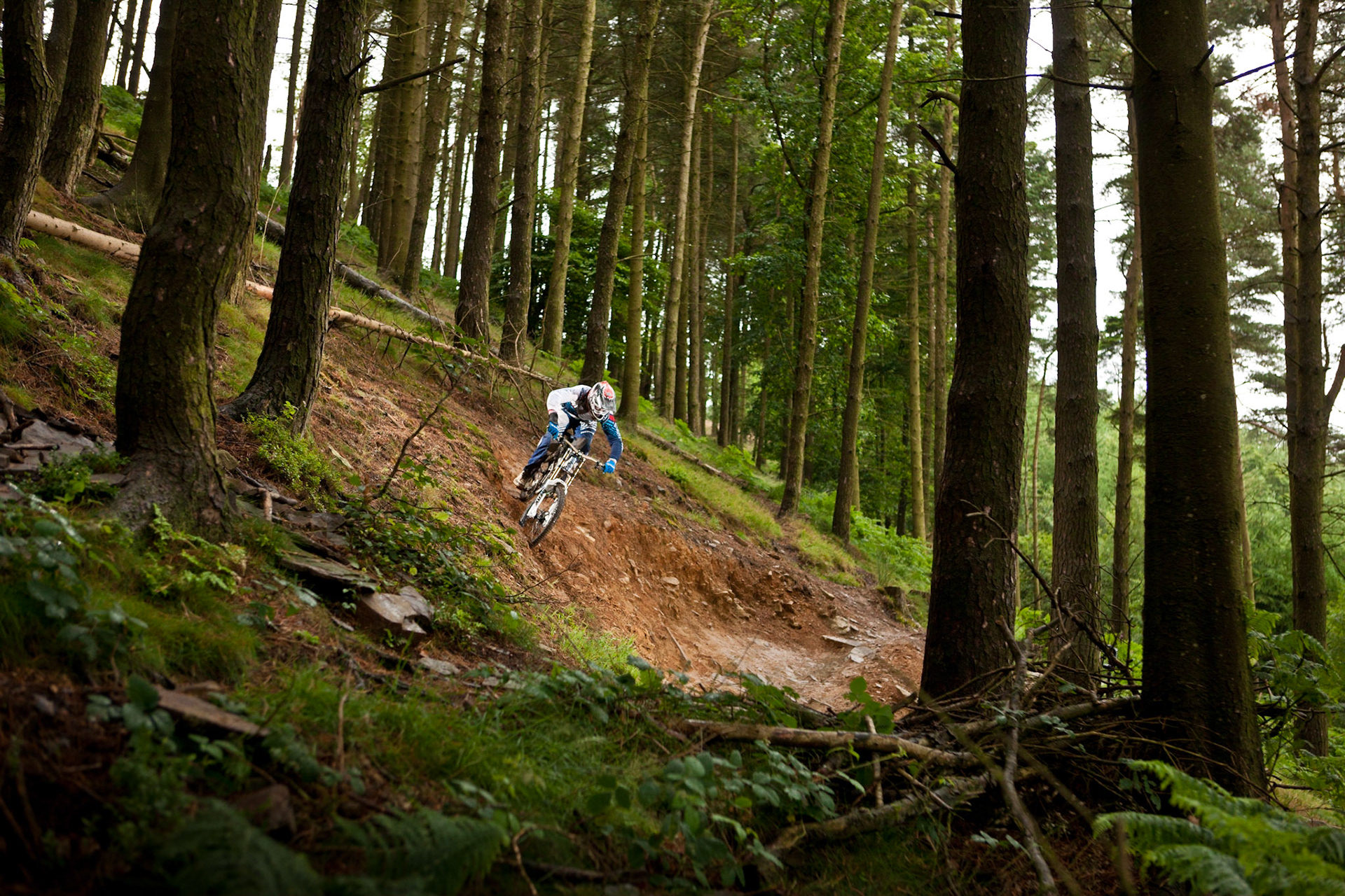 Cwm Carn, South Wales