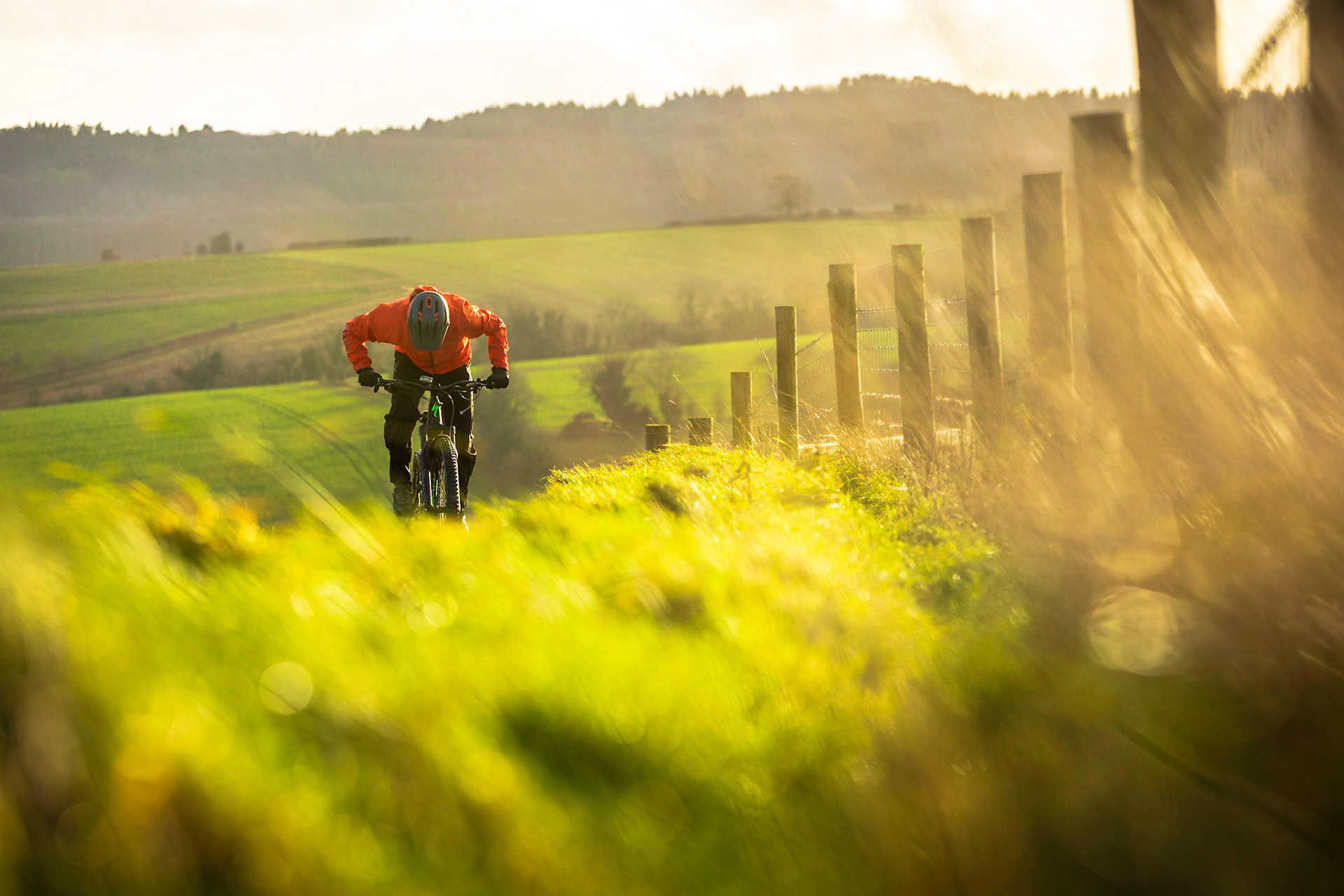 Specialized Turbo Levo Expert