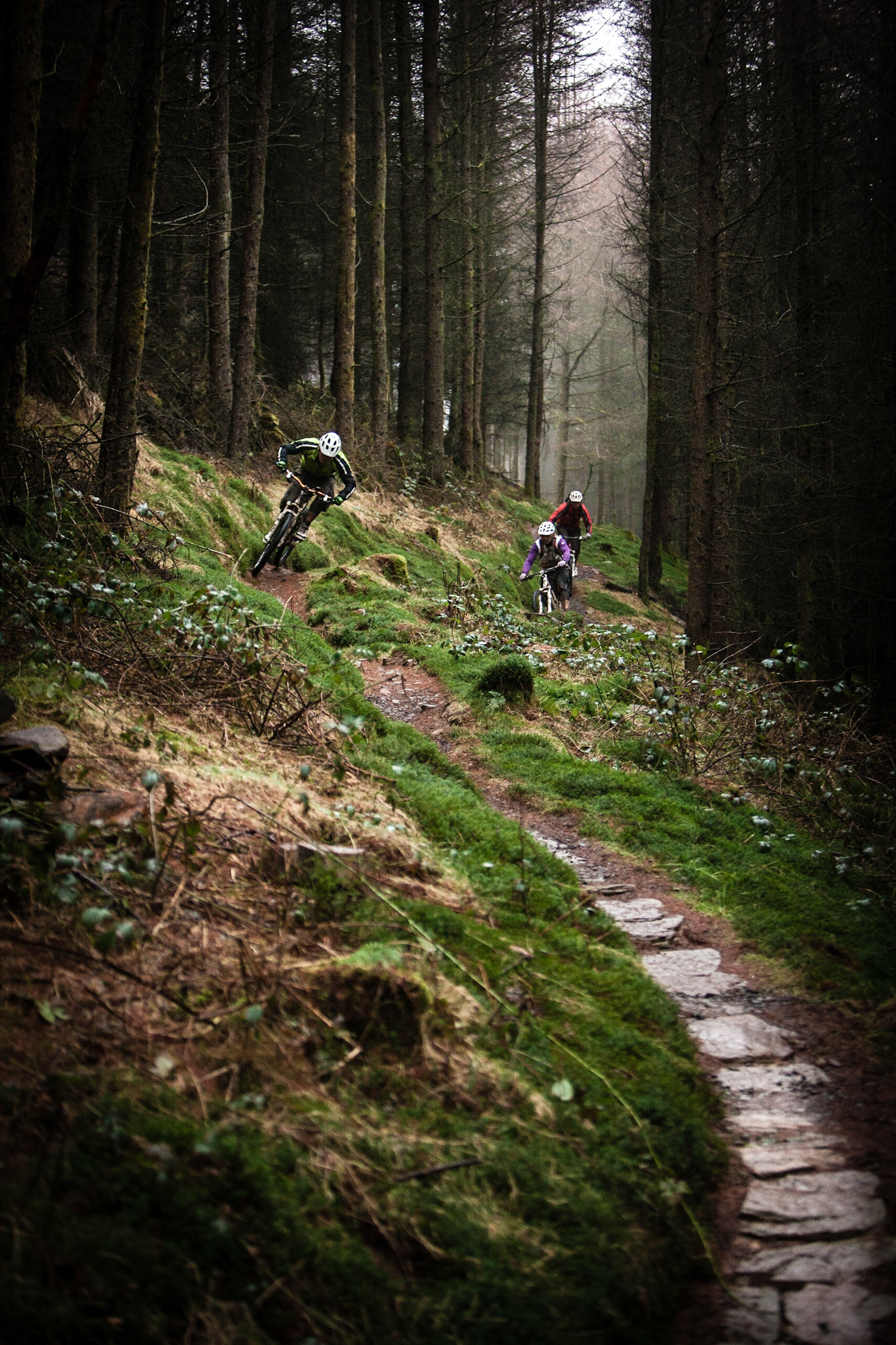 Skyline. Afan