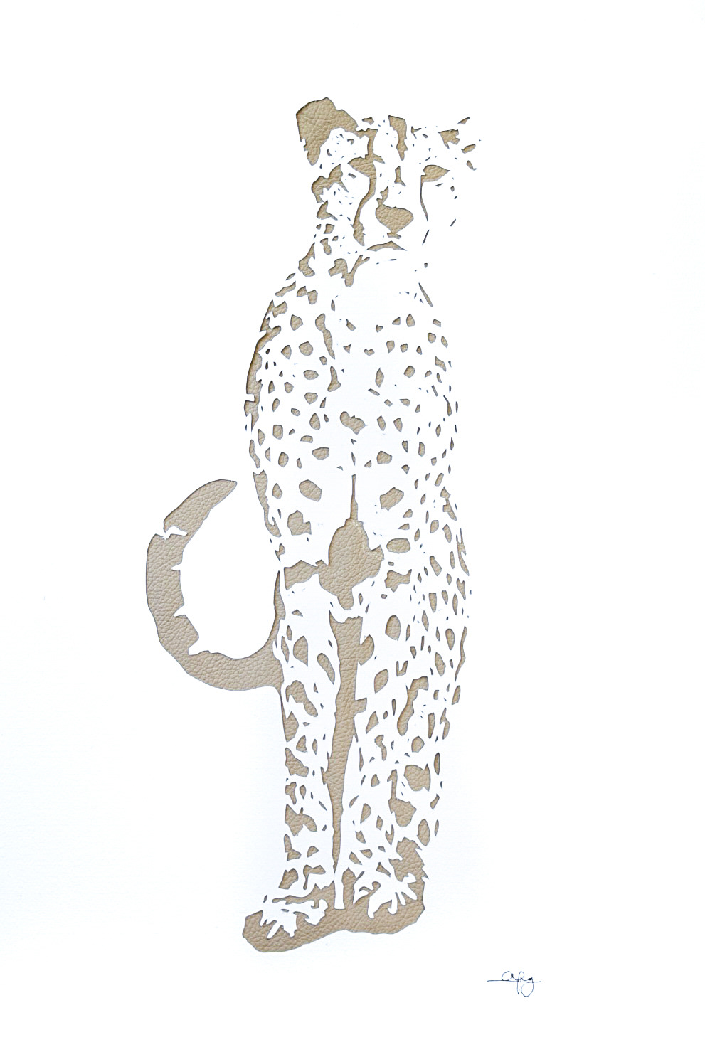 ADORNED - AVAILABLE
